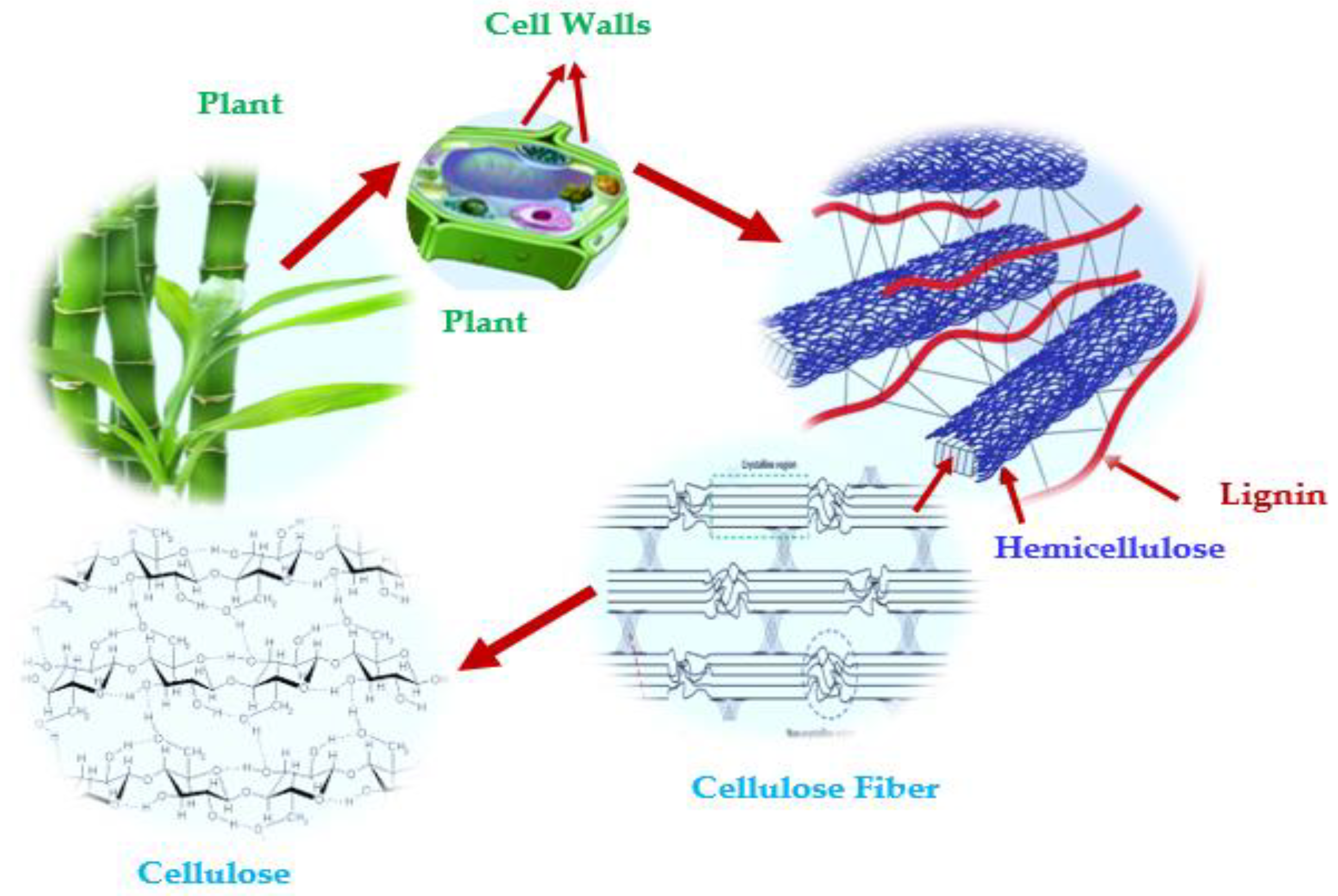 Processes 08 00799 g008 Processes 08 00799 g008