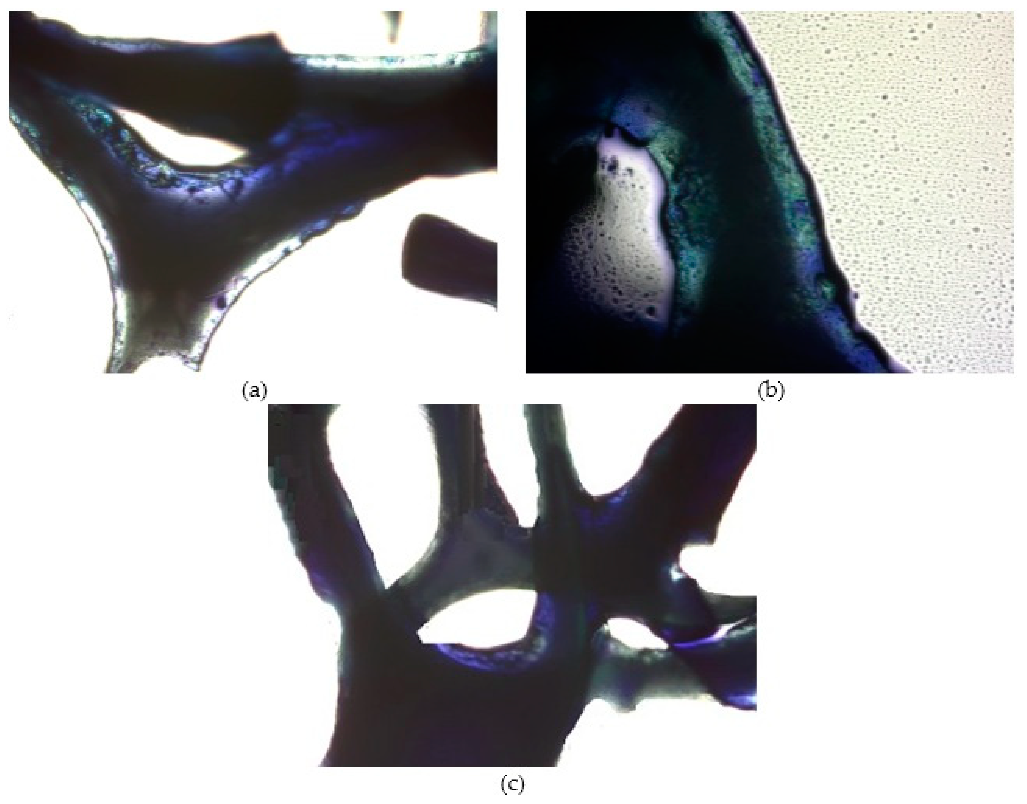 Processes 08 00801 g004