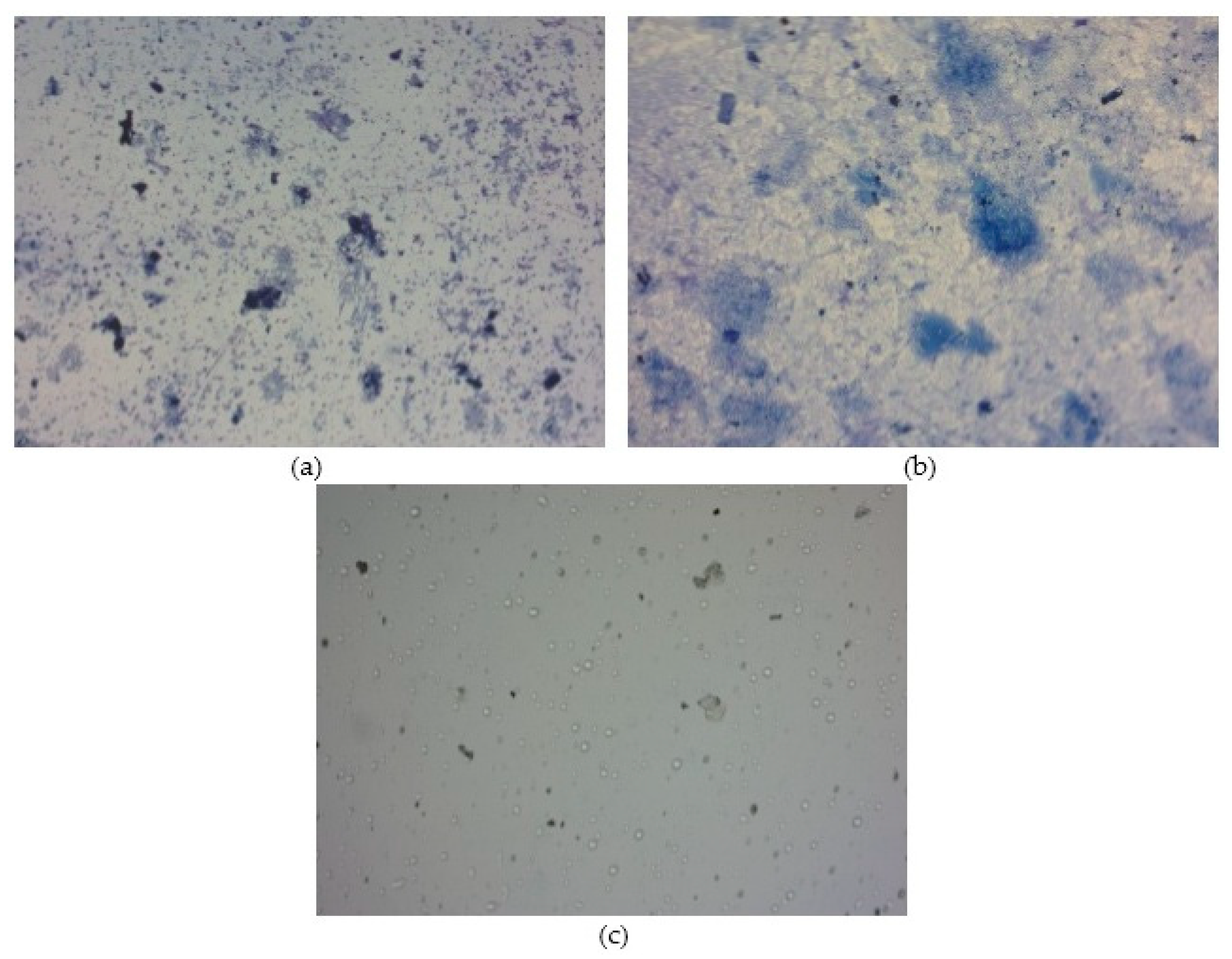 Processes 08 00801 g006
