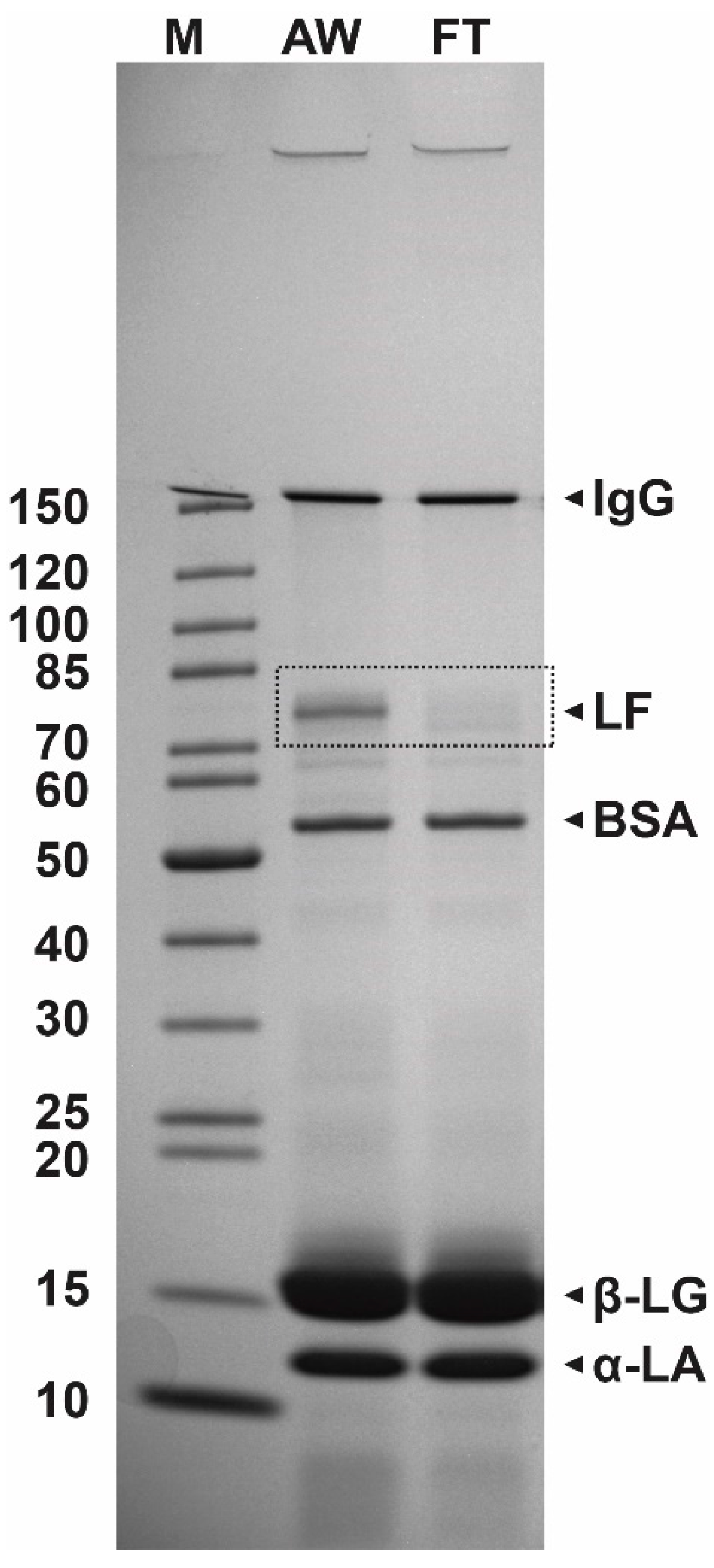 Processes 08 00804 g002