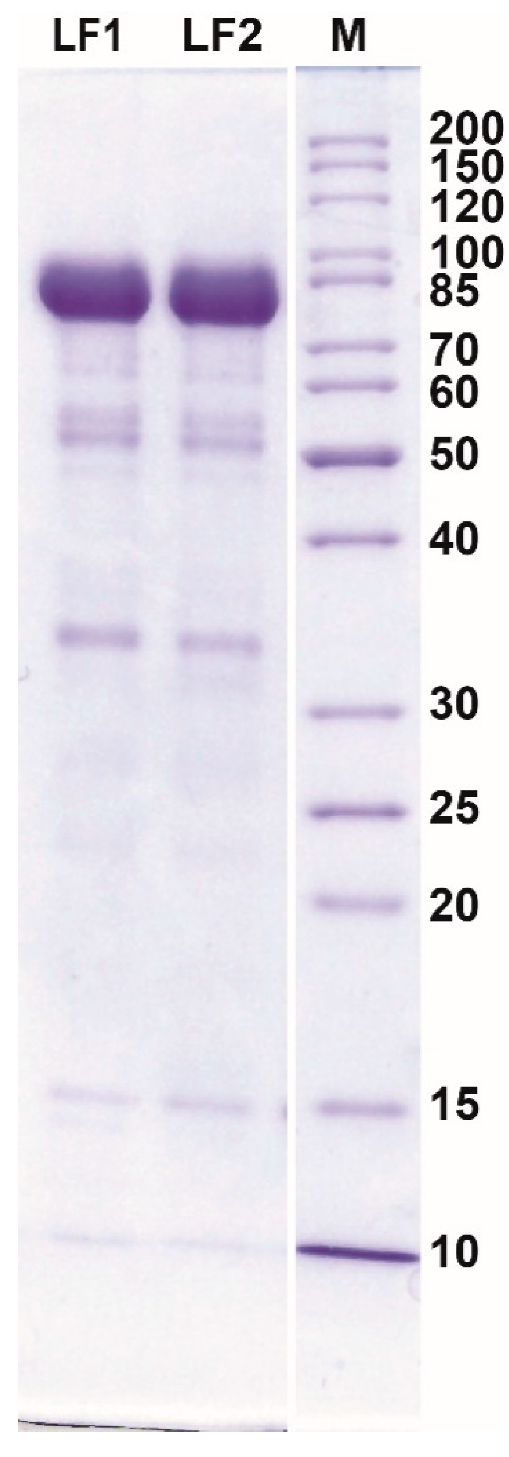 Processes 08 00804 g004