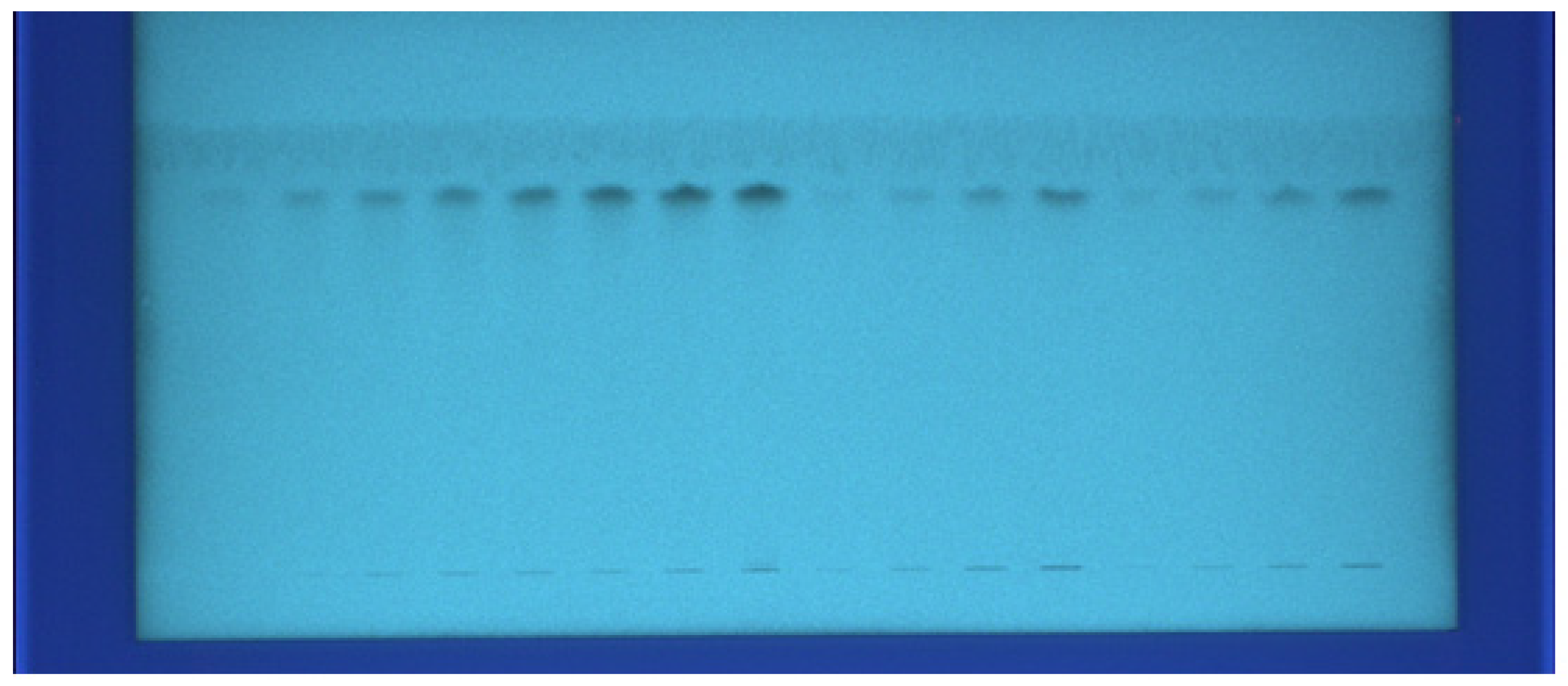 Processes 08 00817 g001