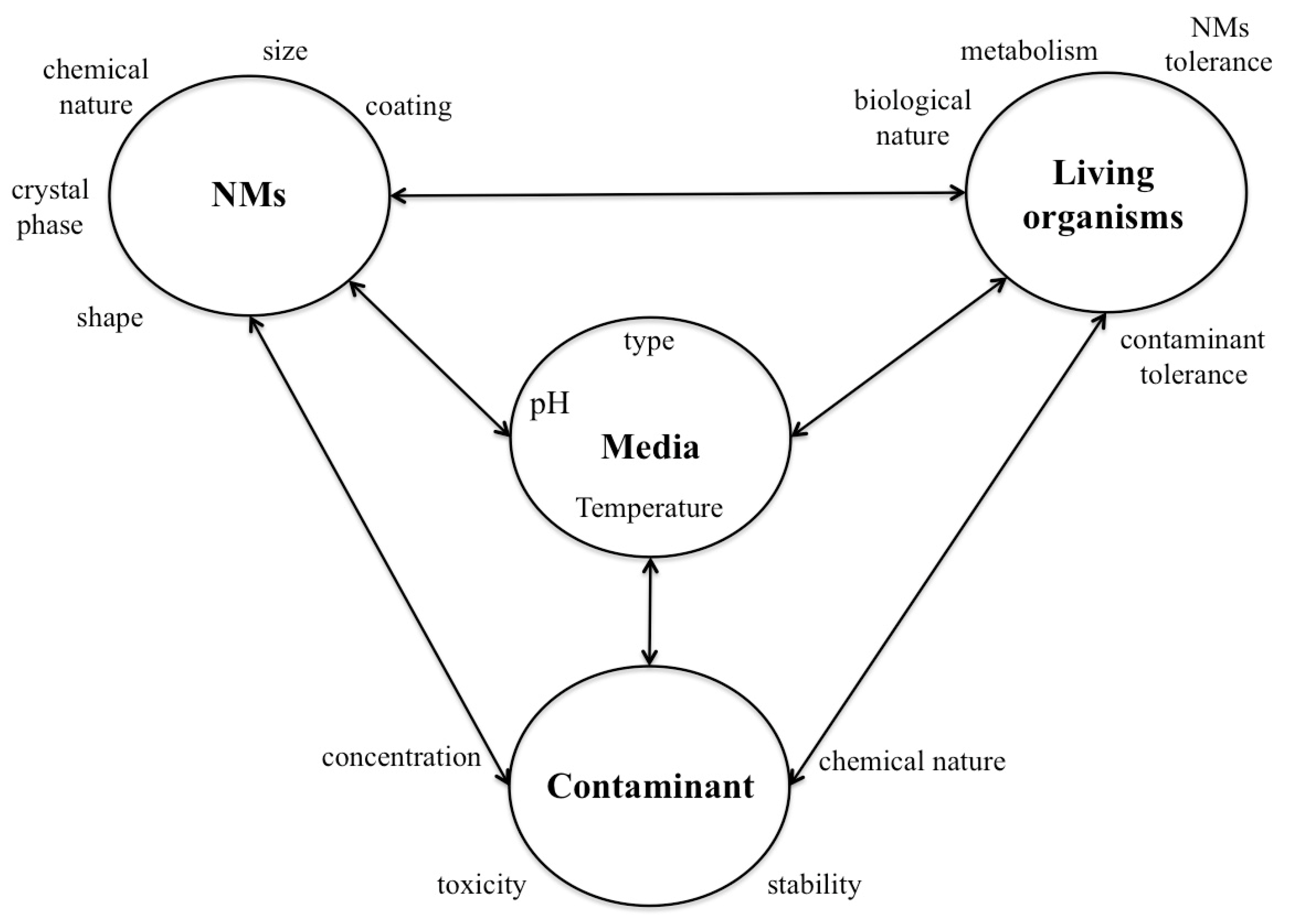 Processes 08 00826 g001