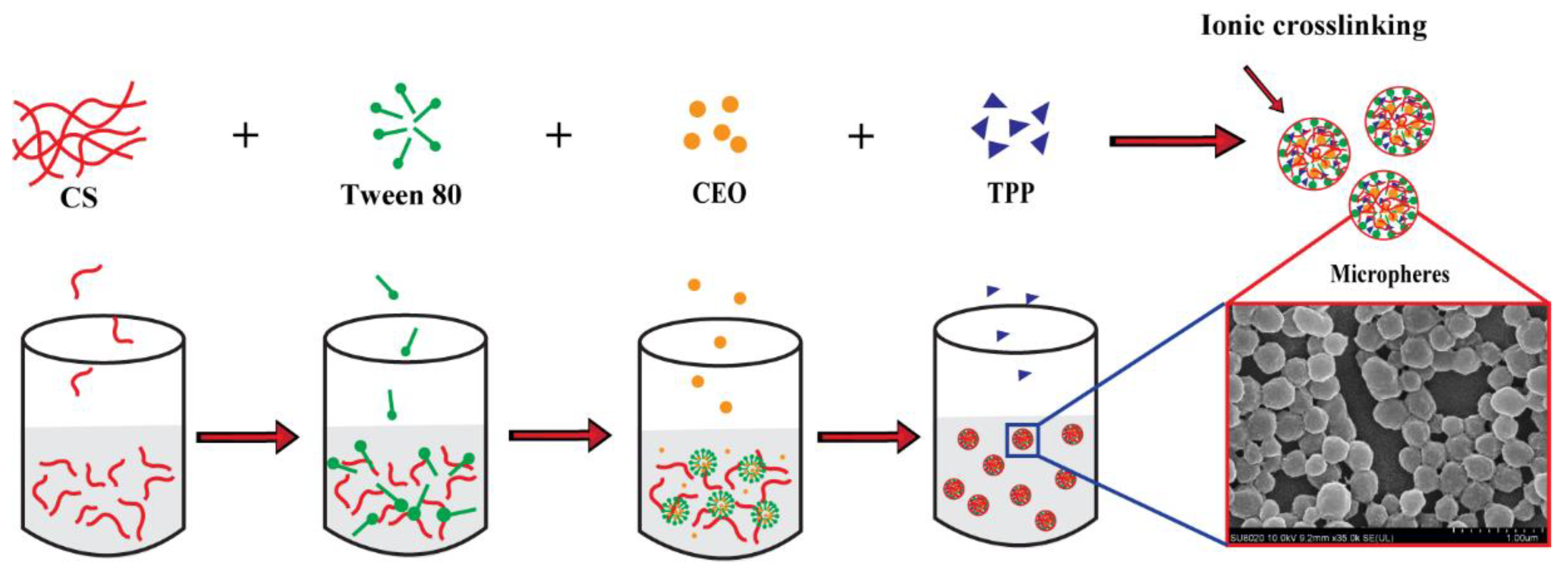 Processes 08 00834 g001