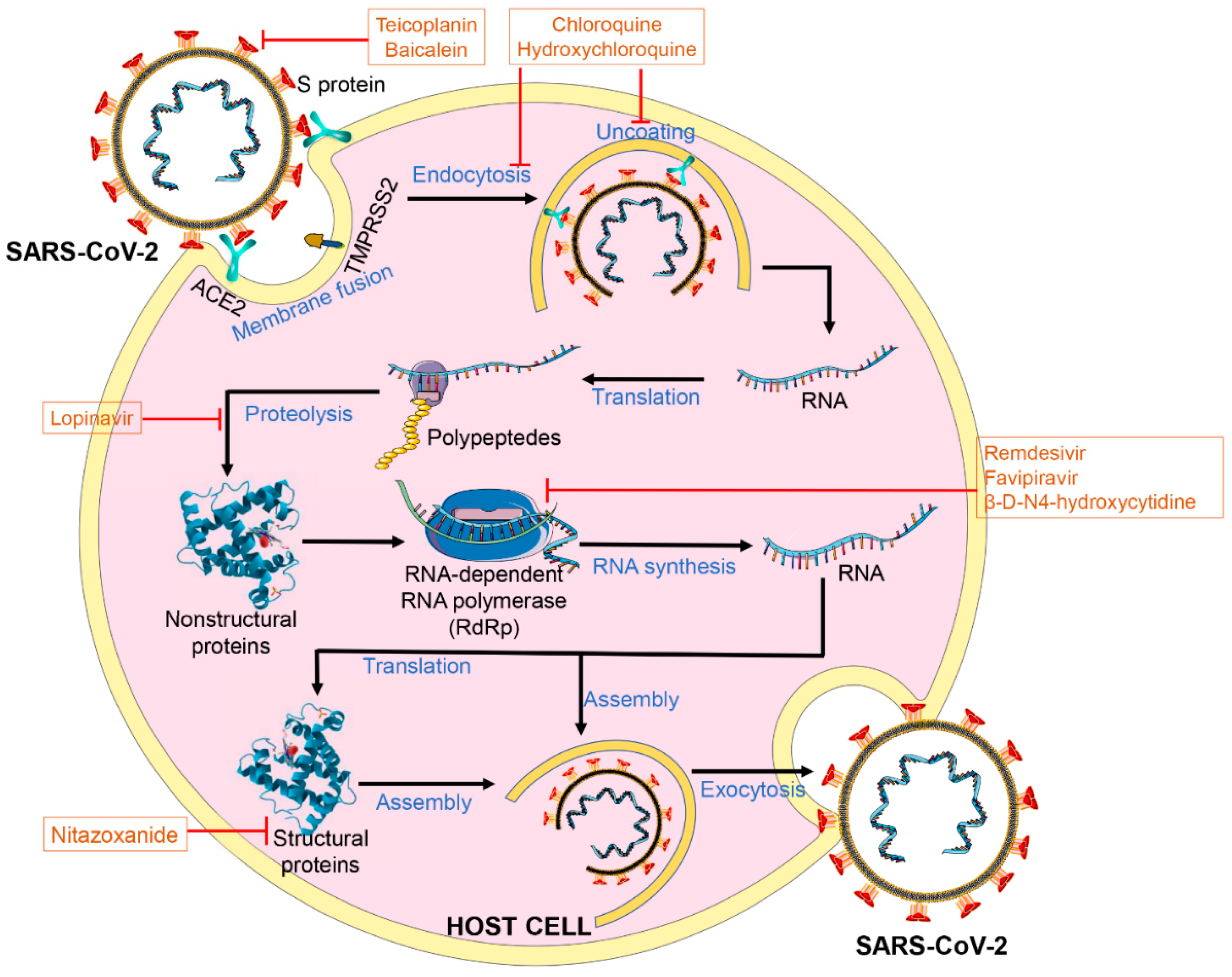 Processes 08 00937 g001