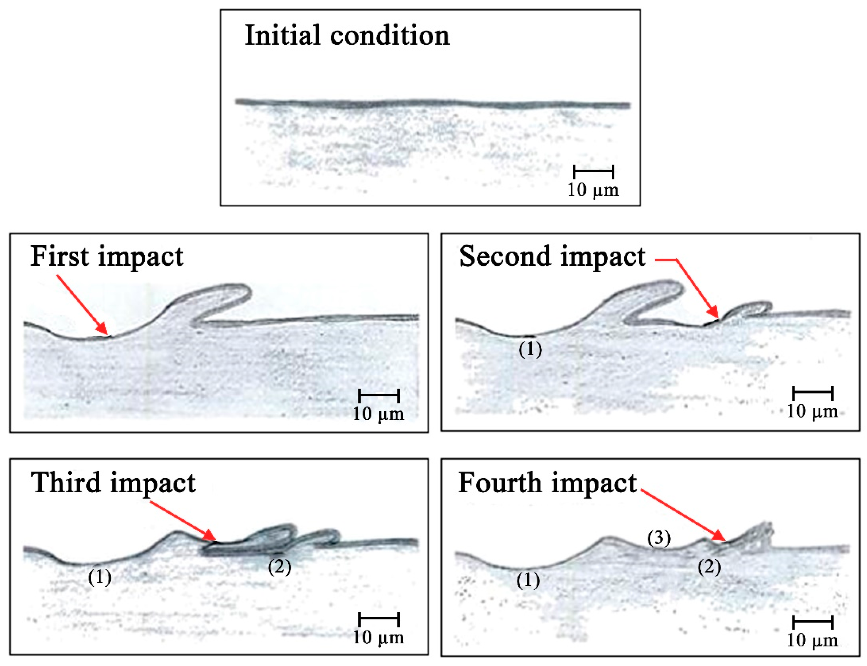 Processes 08 00984 g009