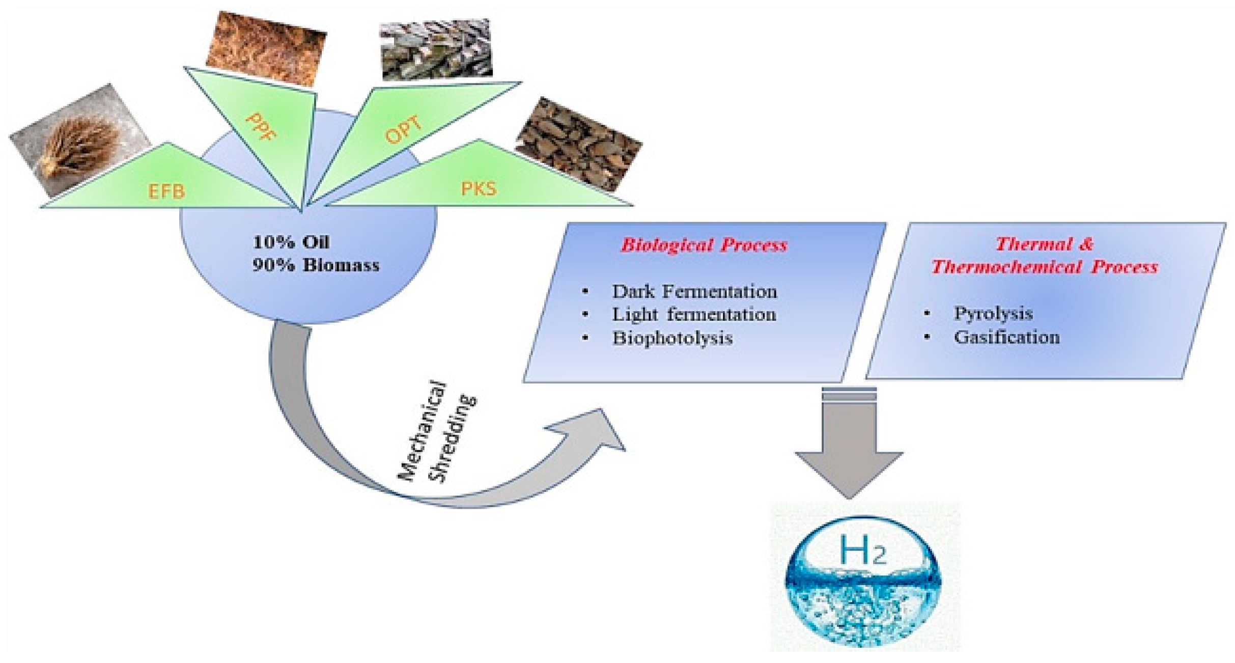 Processes 08 00993 g004