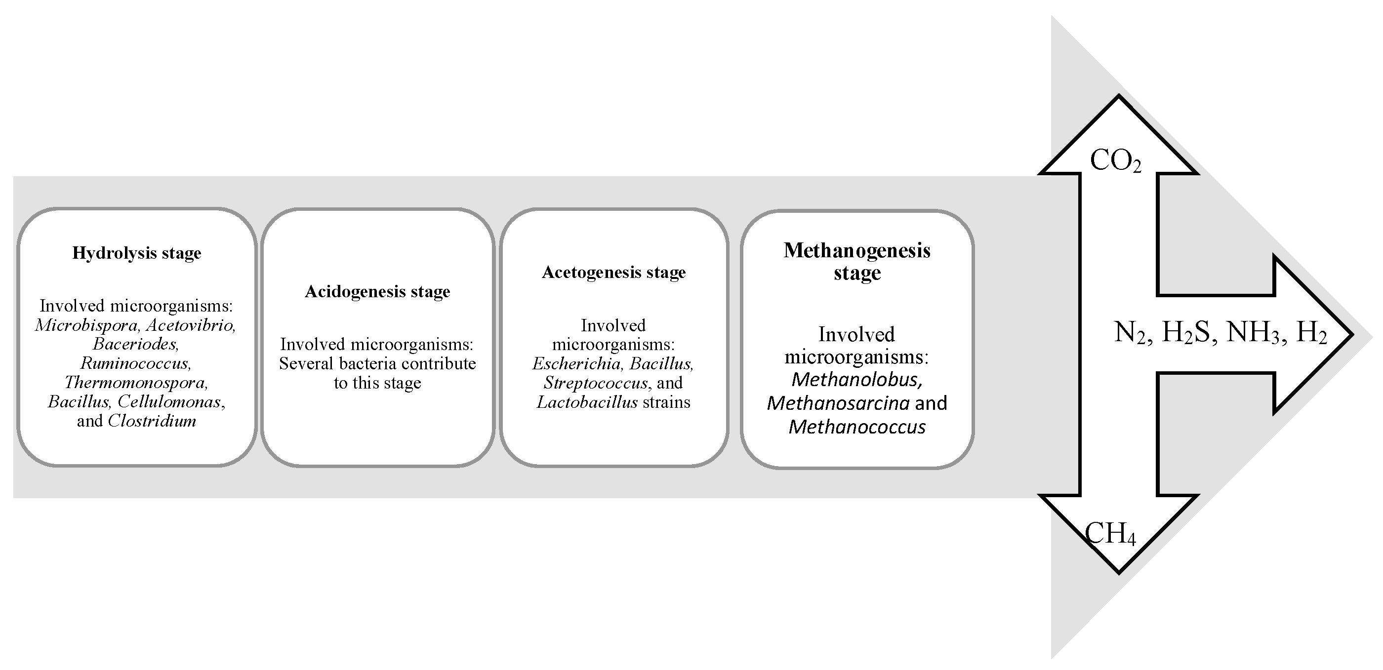 Processes 08 00993 g005