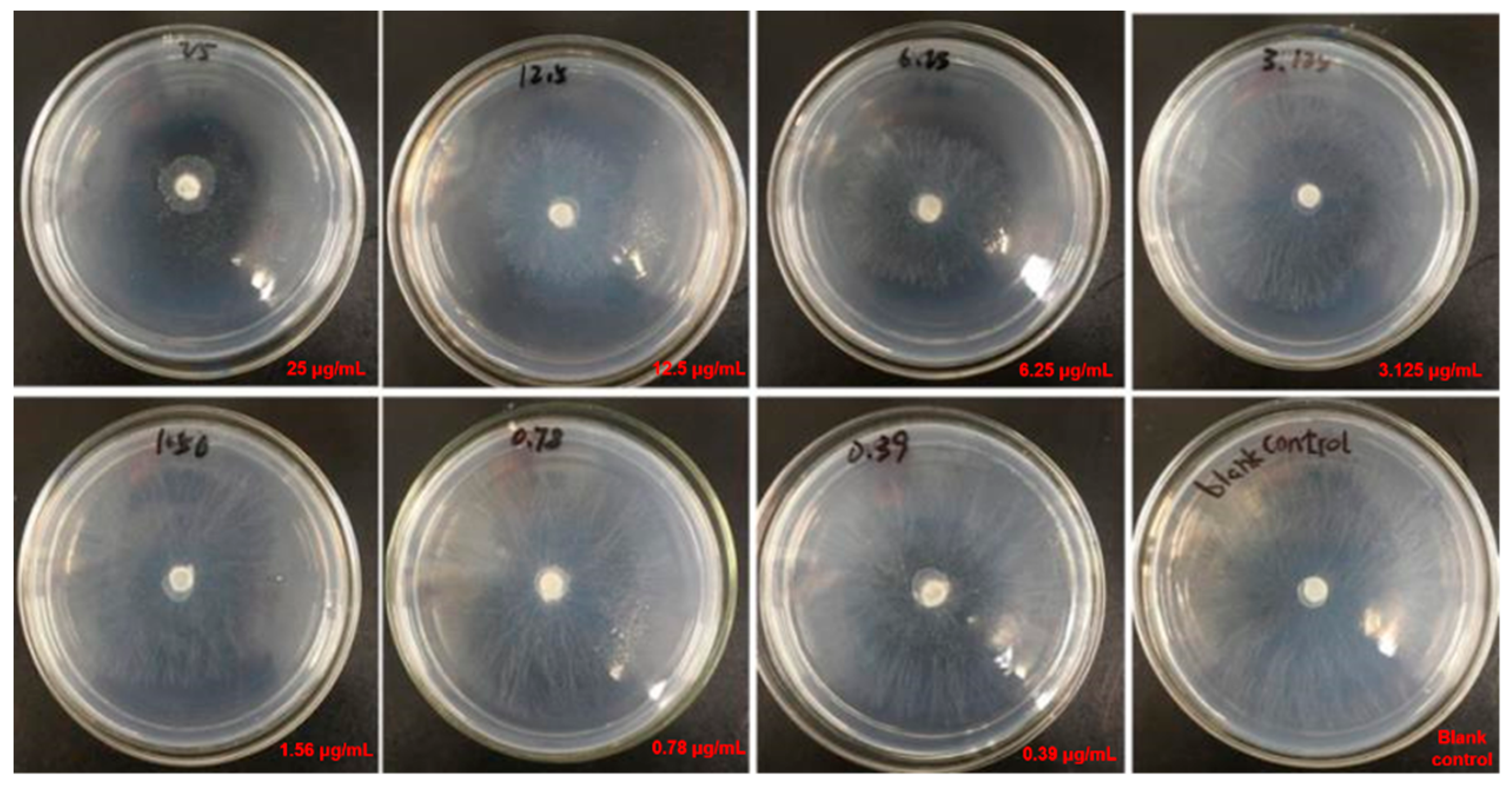 Processes 08 01029 g003
