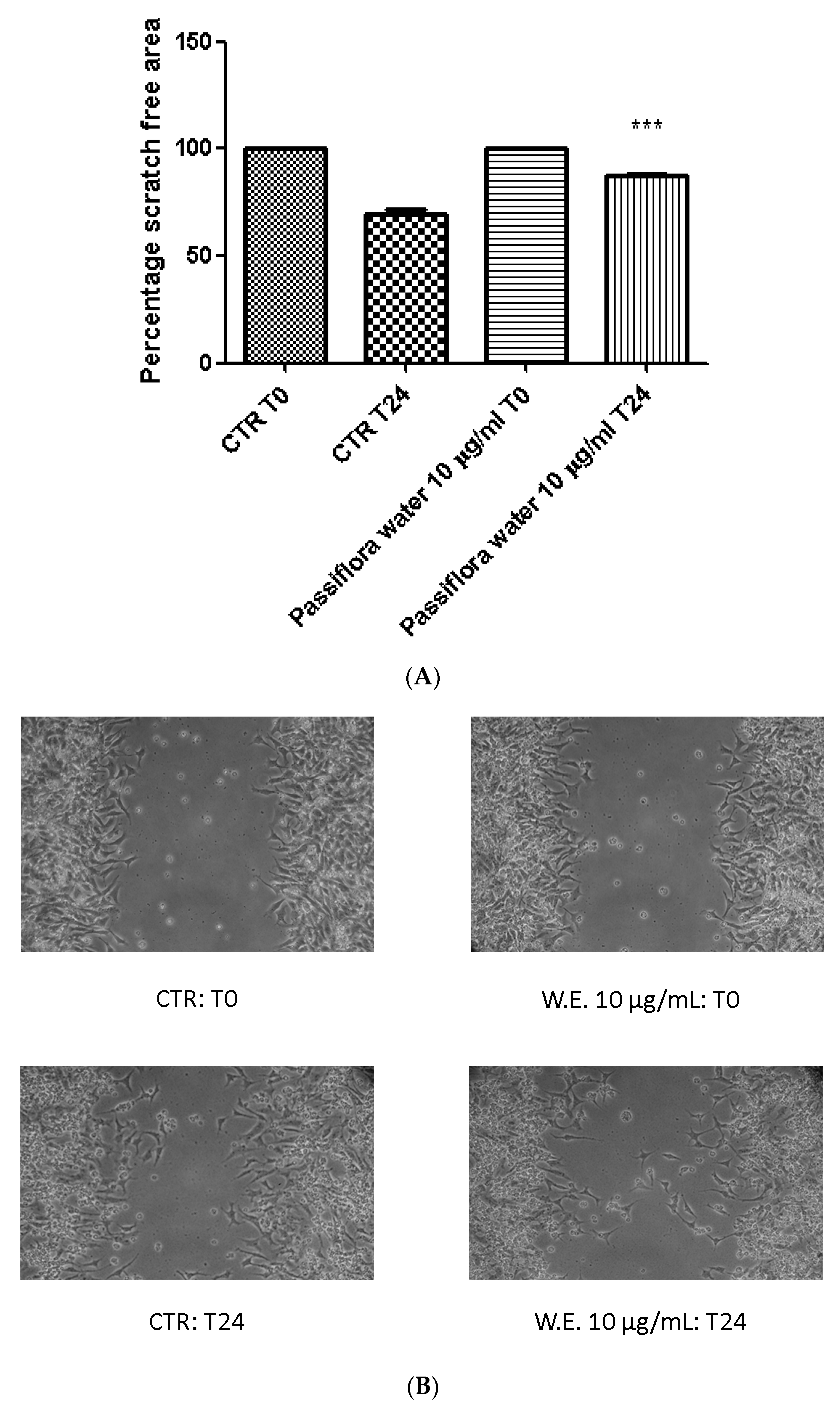 Processes 08 01034 g004