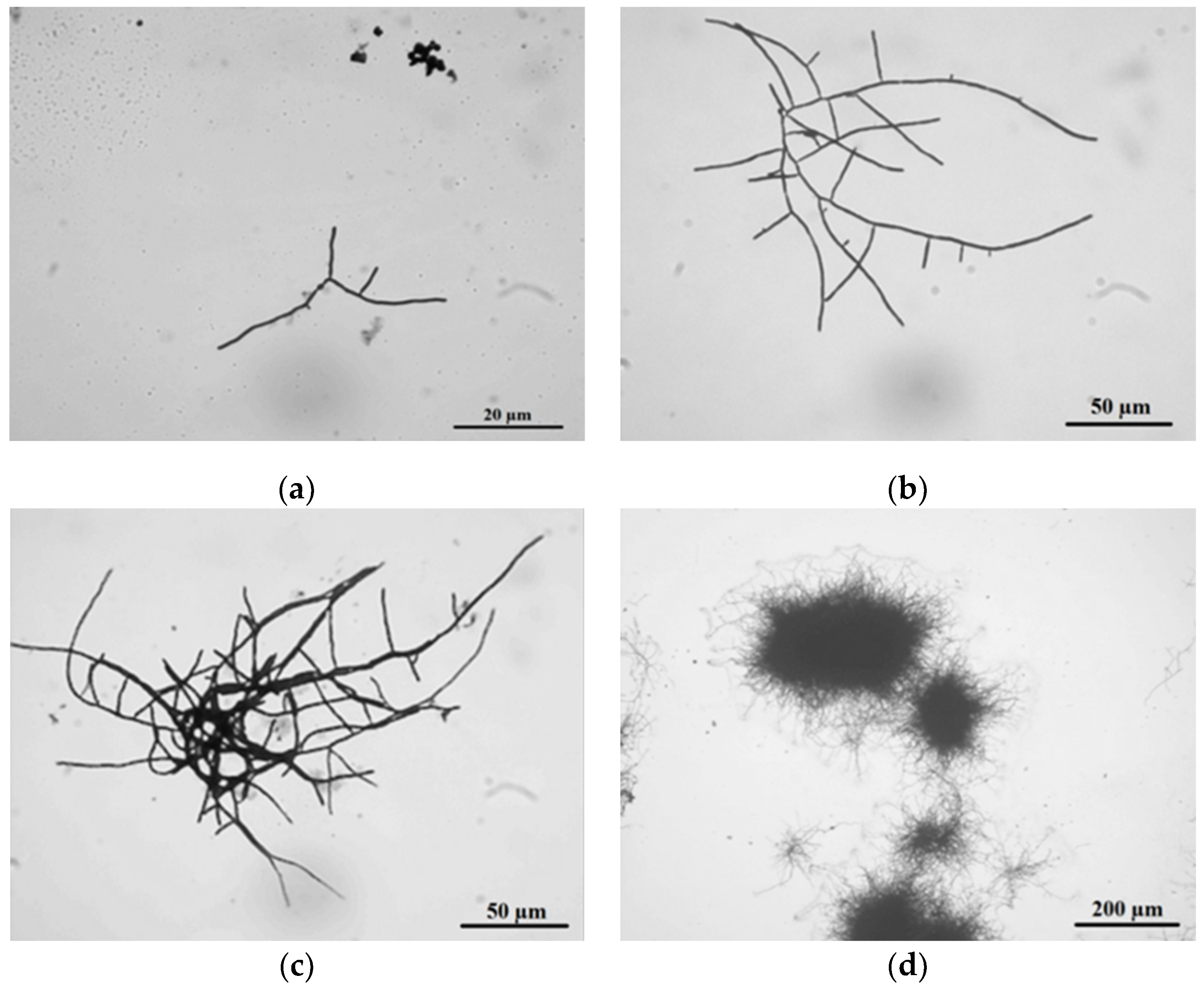 Processes 08 01038 g003