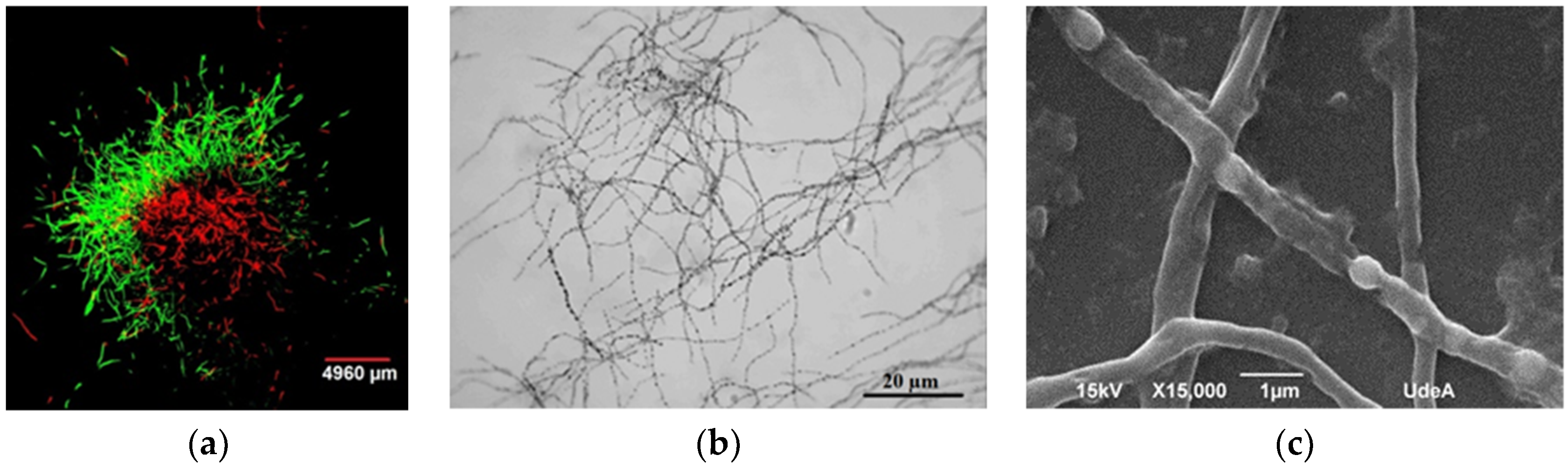 Processes 08 01038 g004