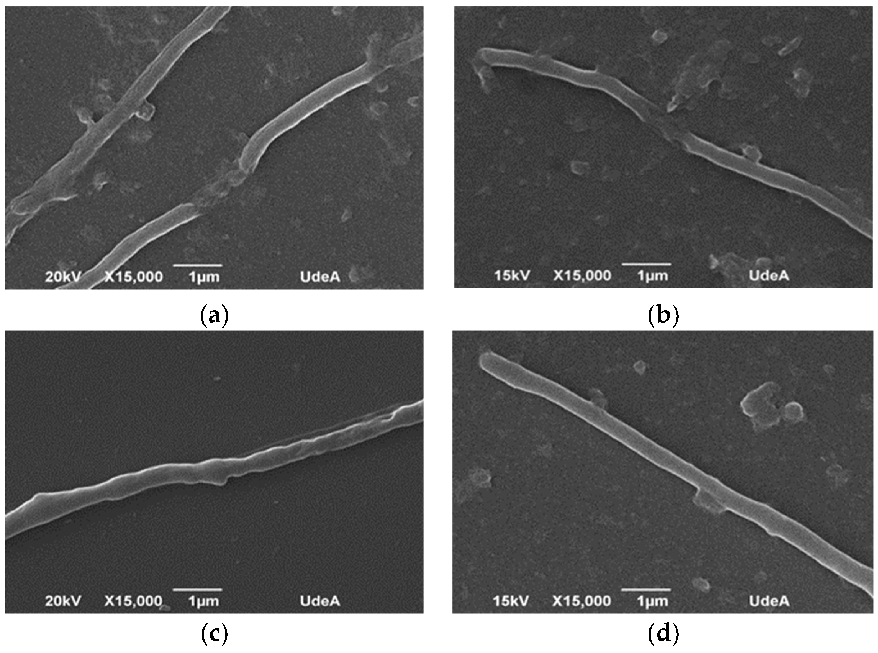 Processes 08 01038 g006