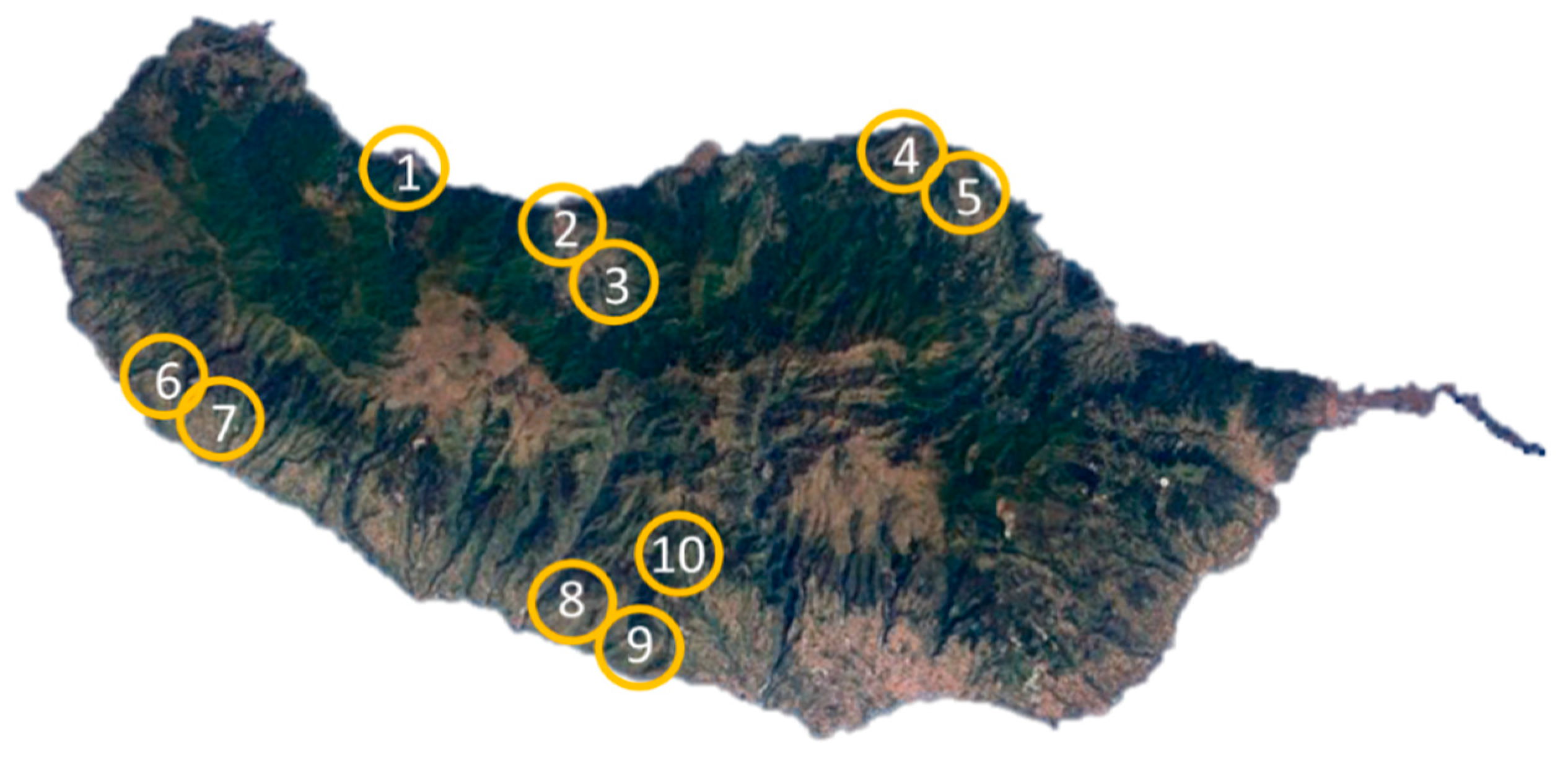 Processes 08 01058 g001