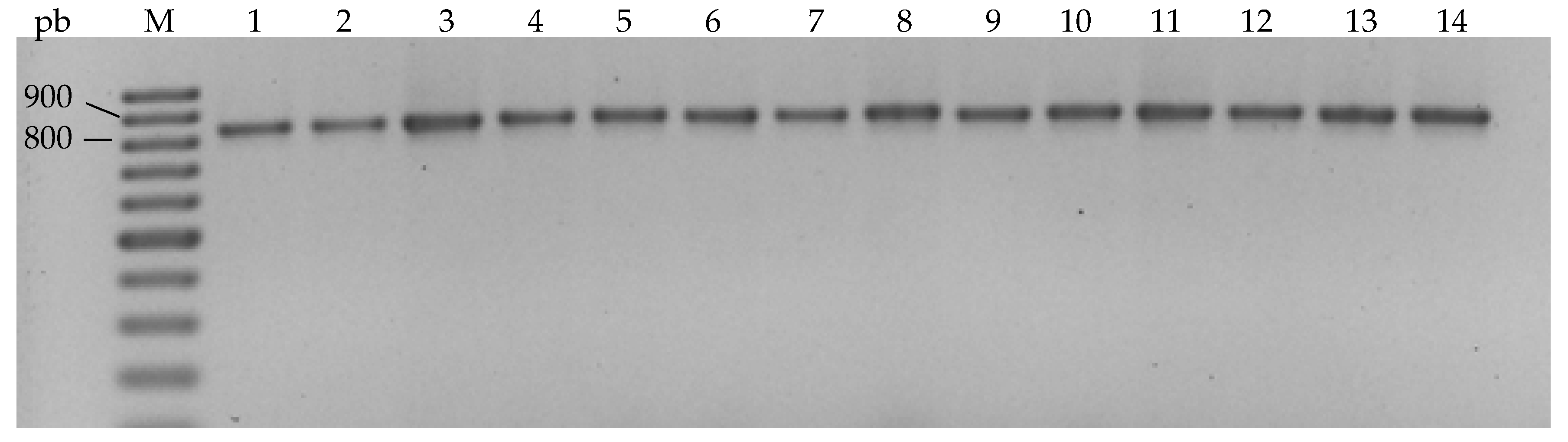 Processes 08 01058 g003
