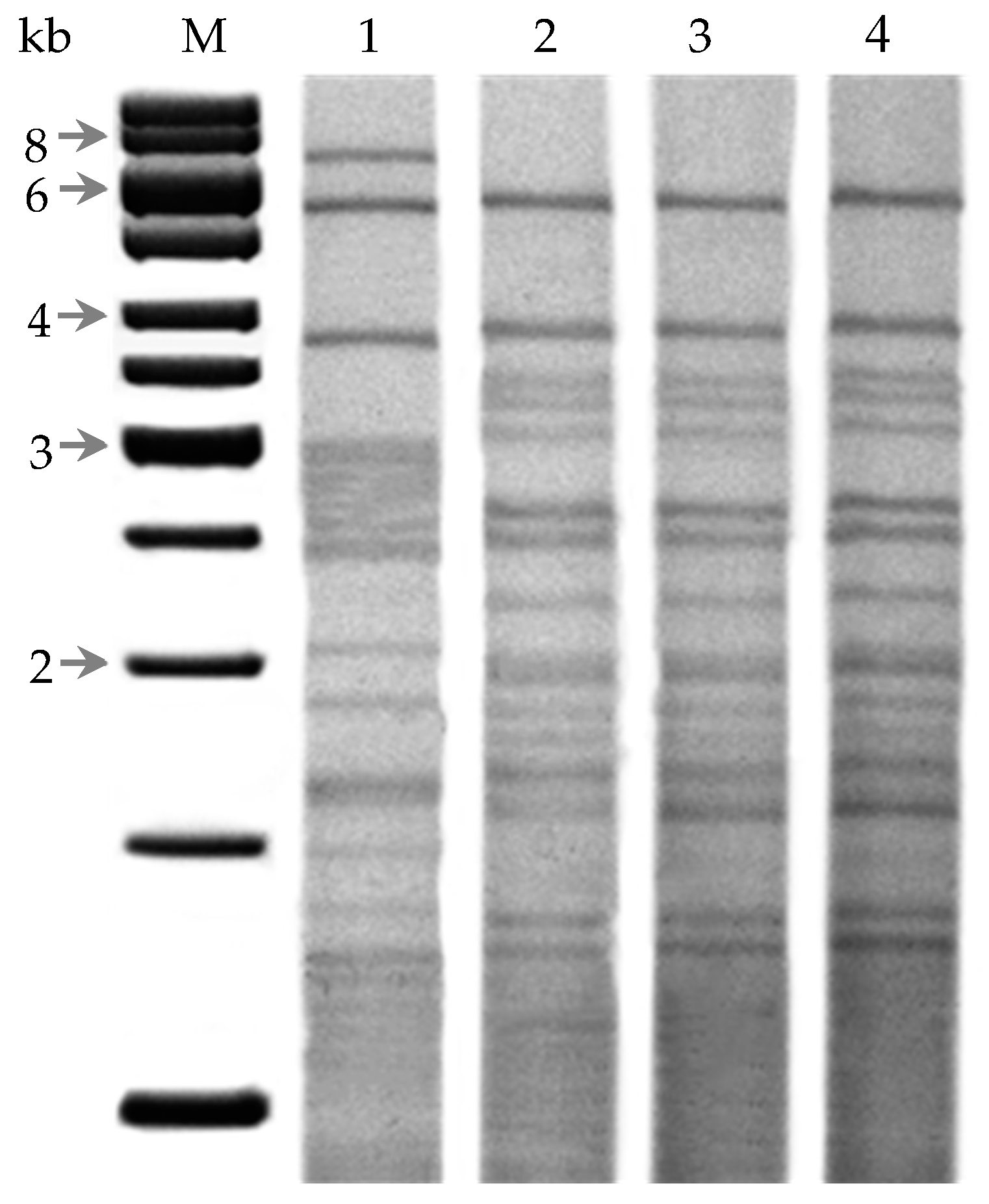 Processes 08 01058 g004
