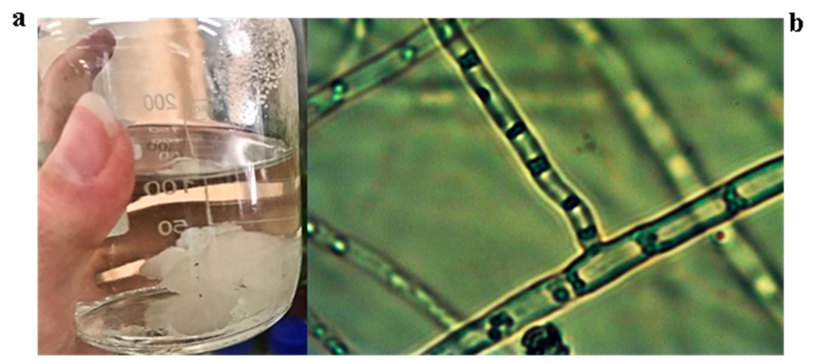 Processes 08 01061 g001