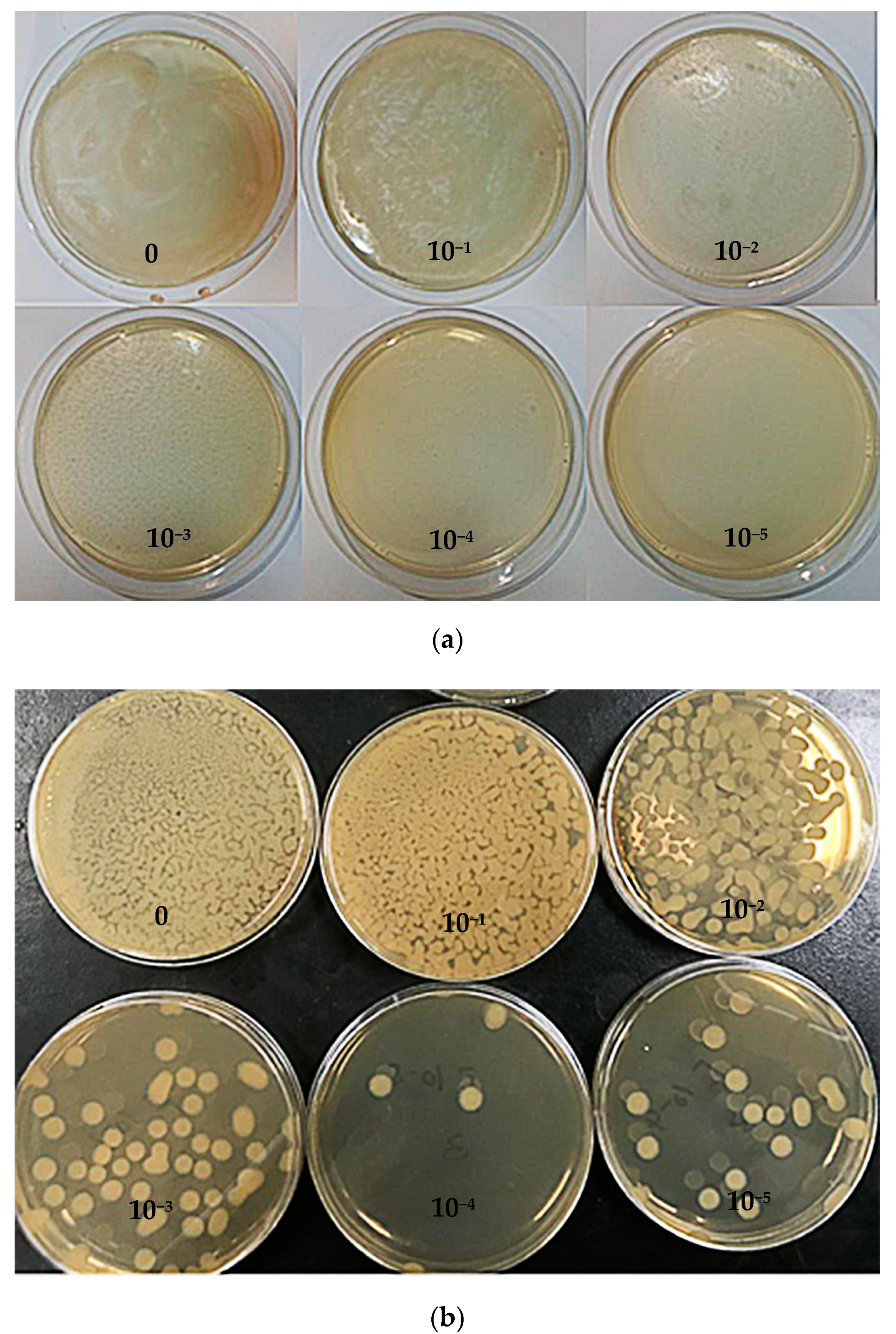 Processes 08 01061 g004a