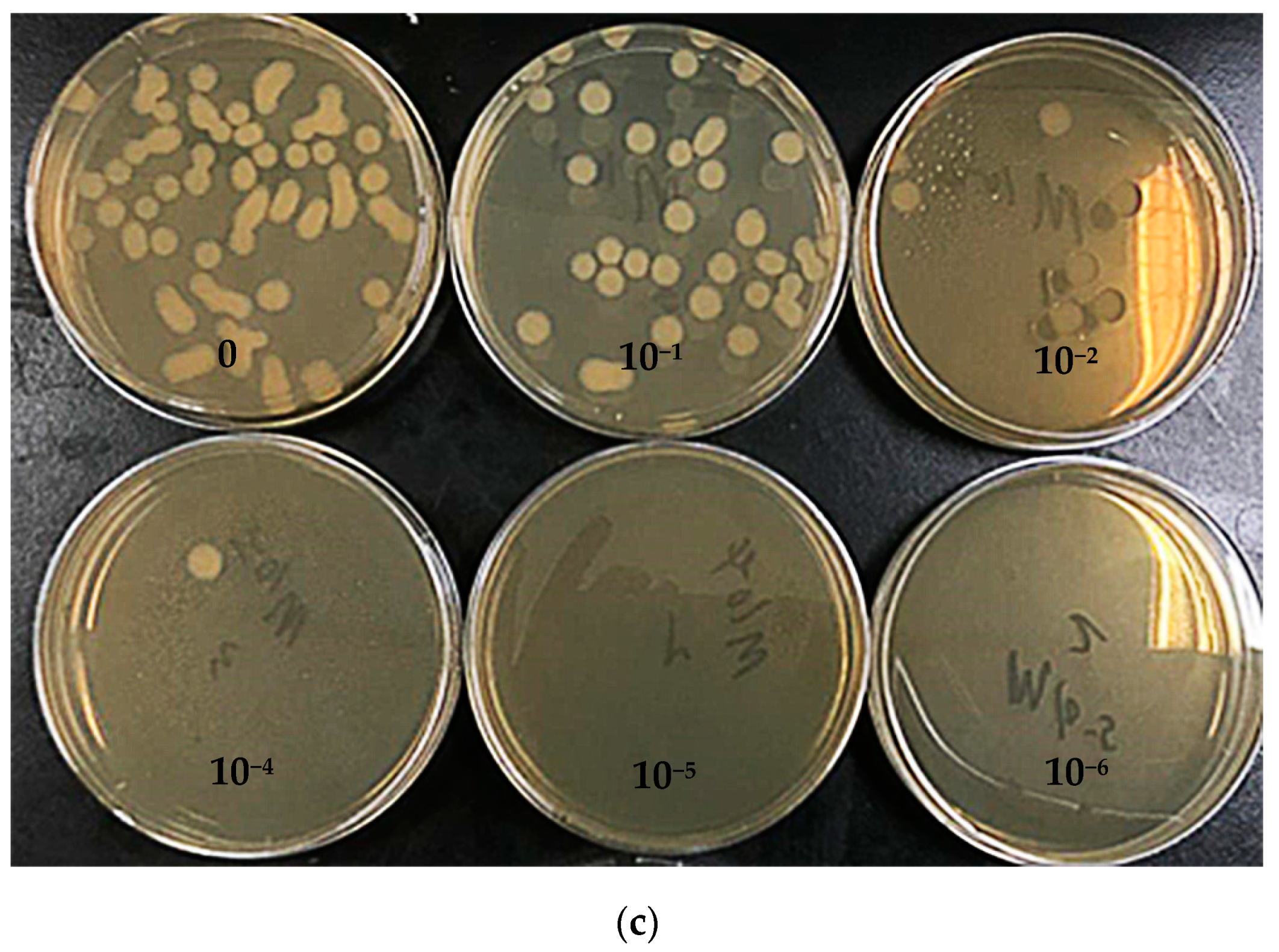 Processes 08 01061 g004b