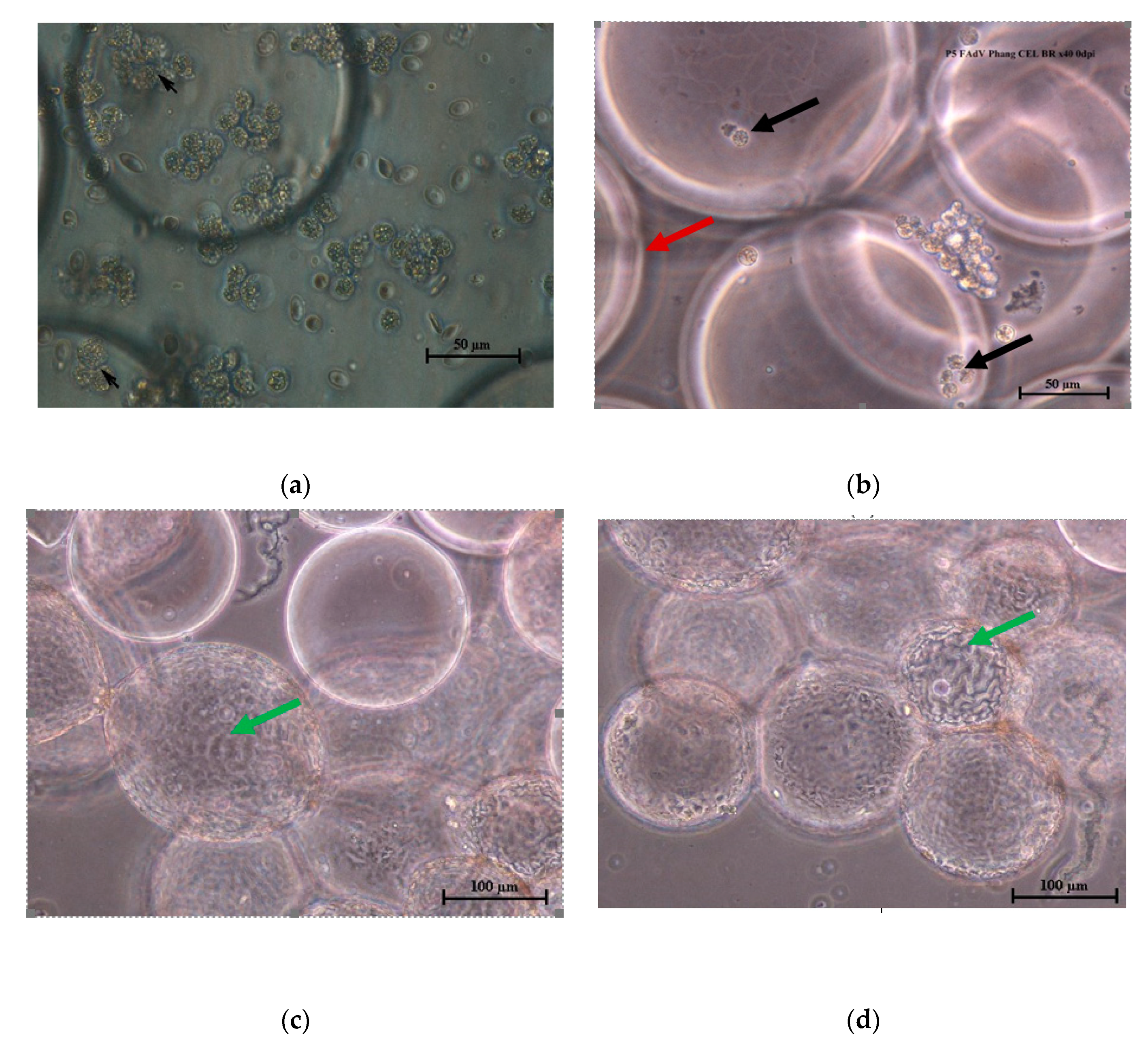 Processes 08 01065 g001 Processes 08 01065 g001