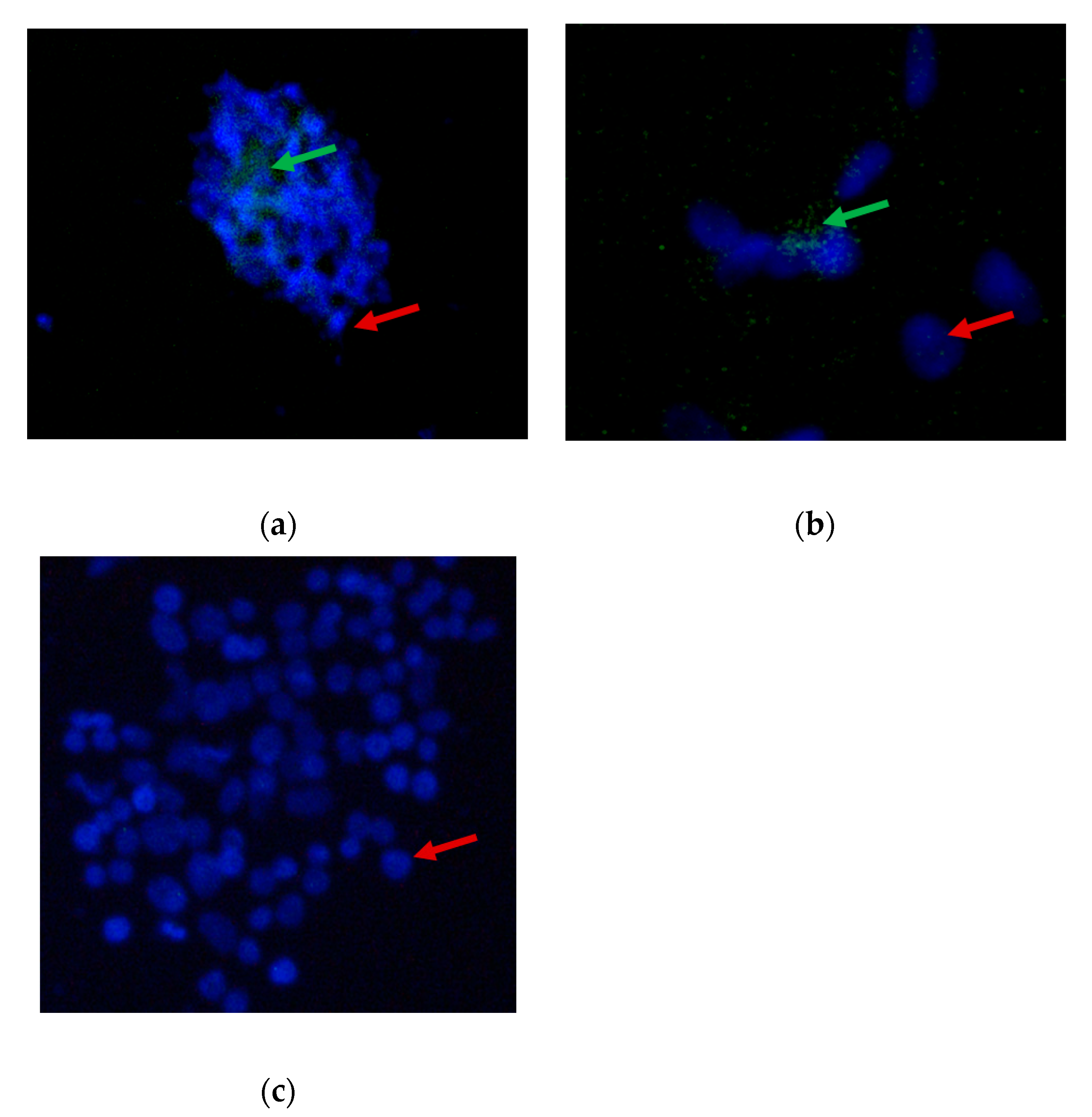 Processes 08 01065 g003 Processes 08 01065 g003