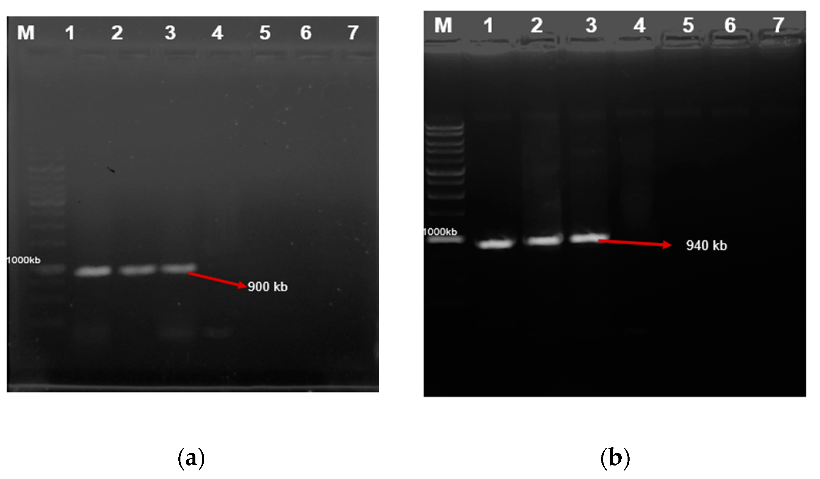 Processes 08 01065 g004 Processes 08 01065 g004