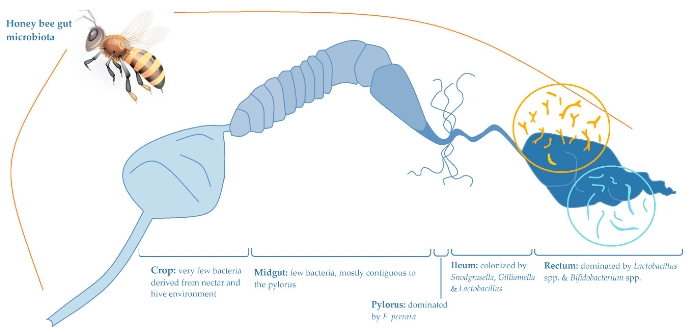 Processes 08 01081 g001