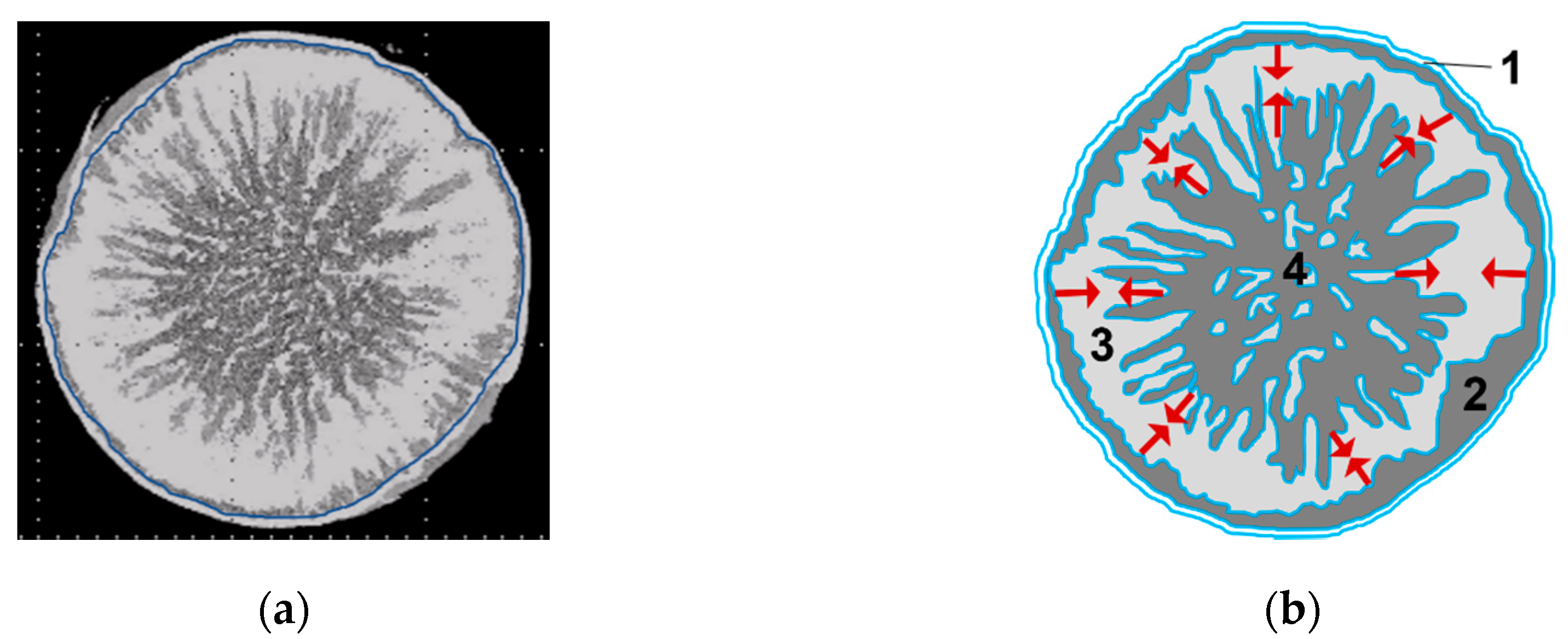 Processes 08 01091 g004