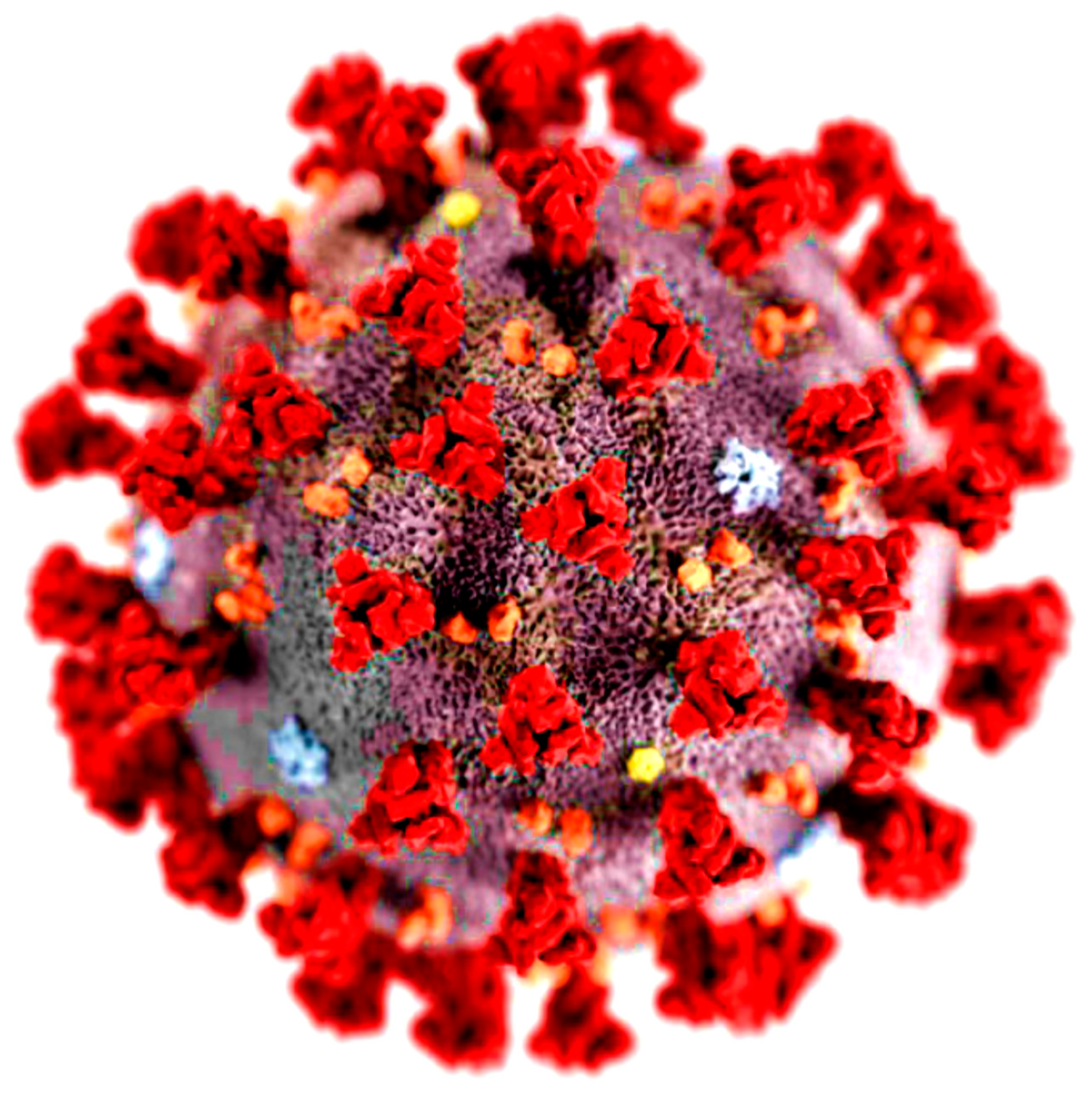 Processes 08 01097 g003 Processes 08 01097 g003