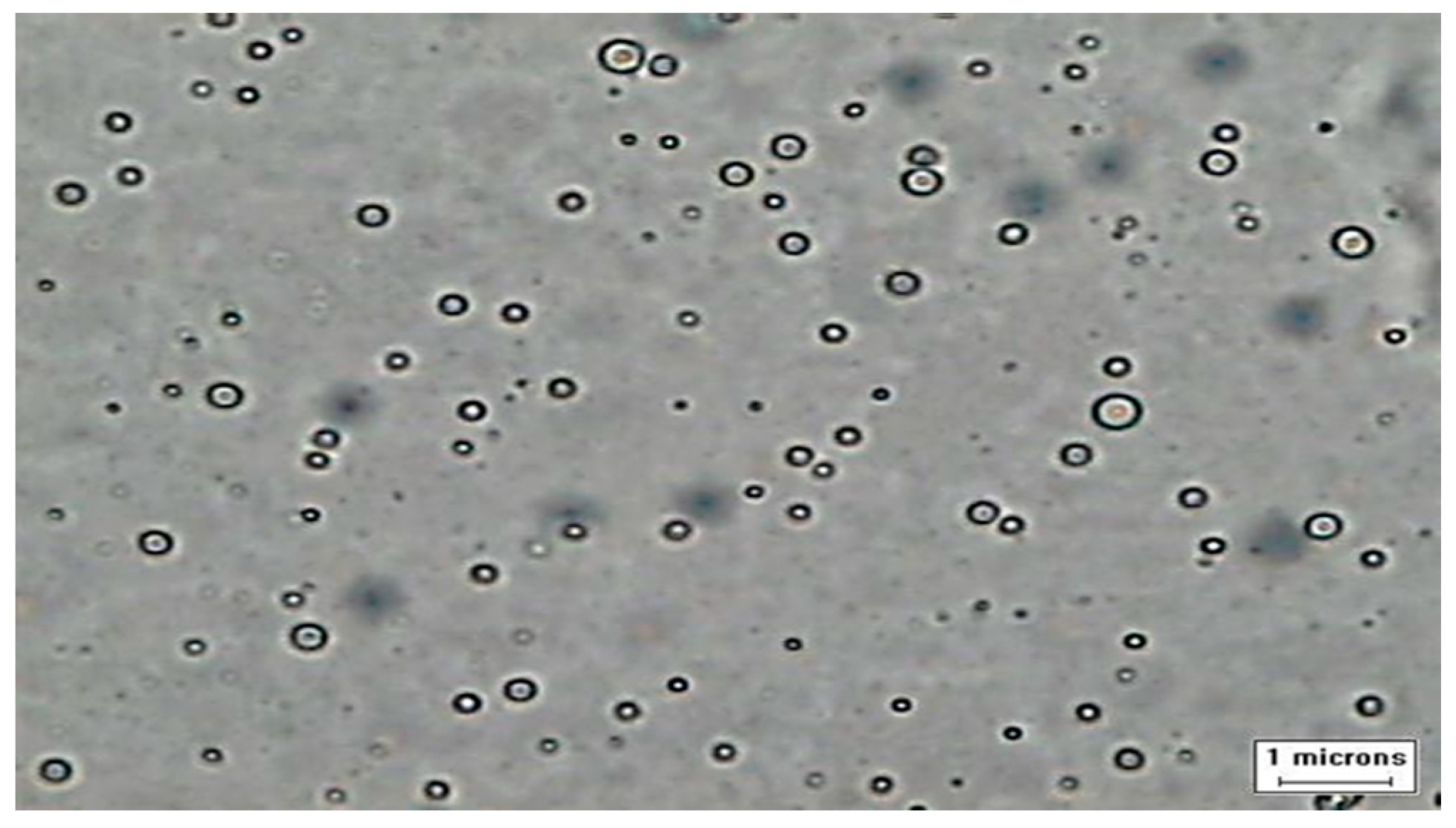 Processes 08 01130 g001