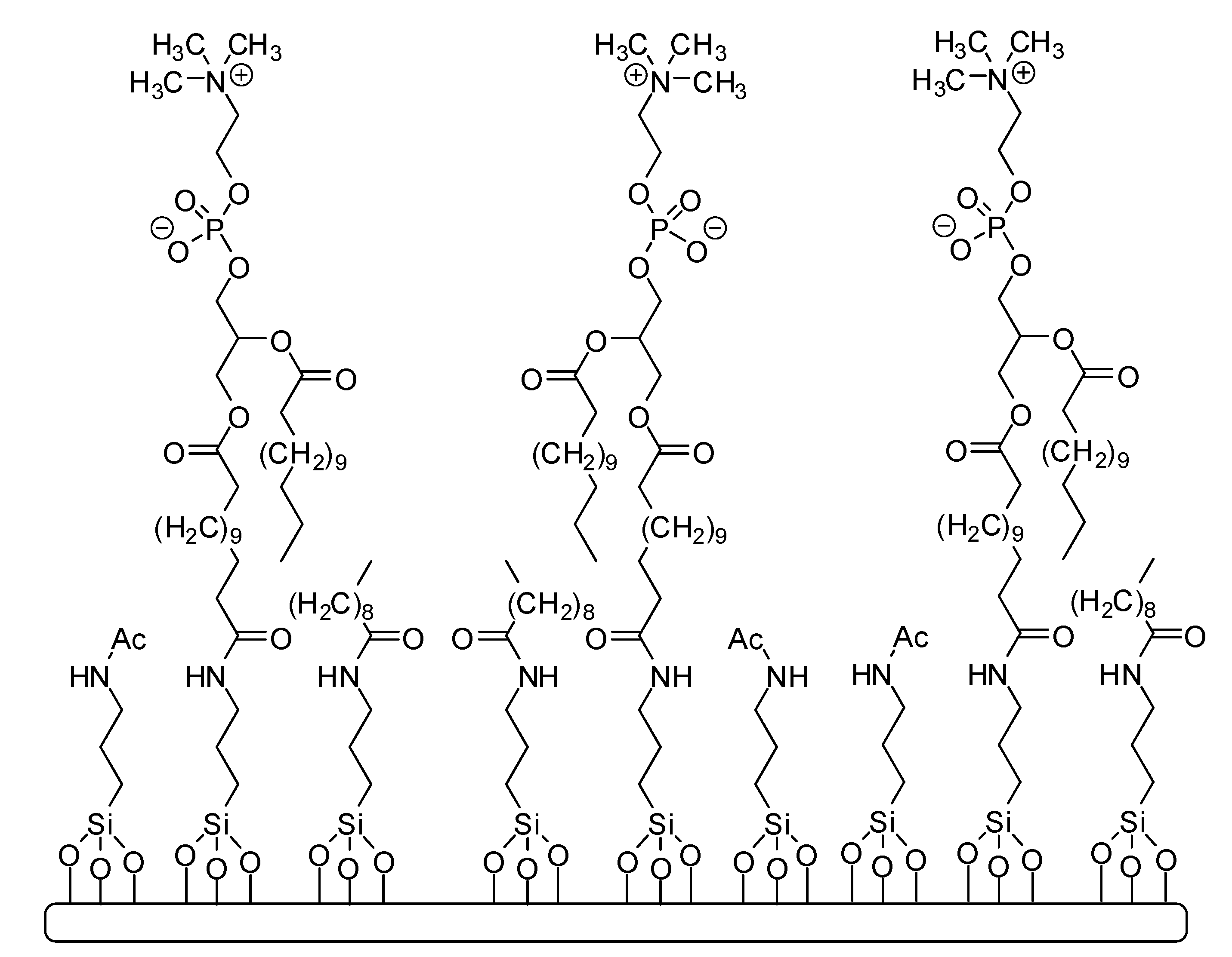 Processes 08 01148 g003