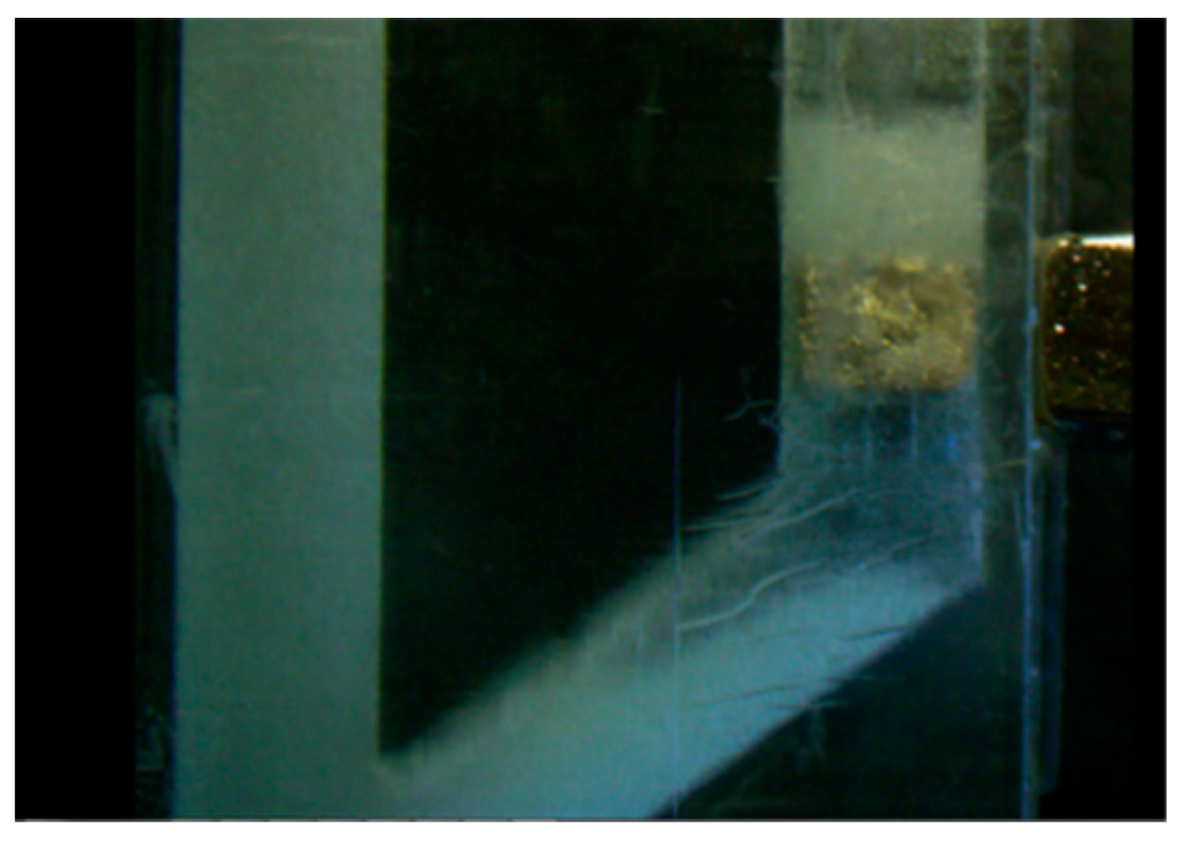 Processes 08 01159 g005