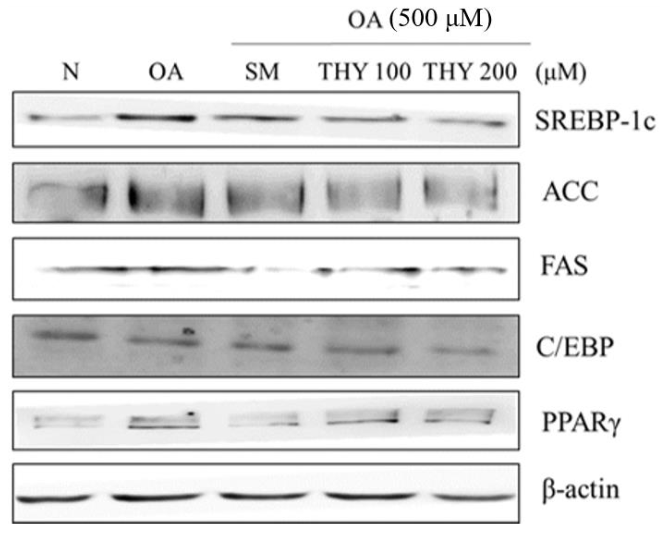 Processes 08 01191 g005 Processes 08 01191 g005