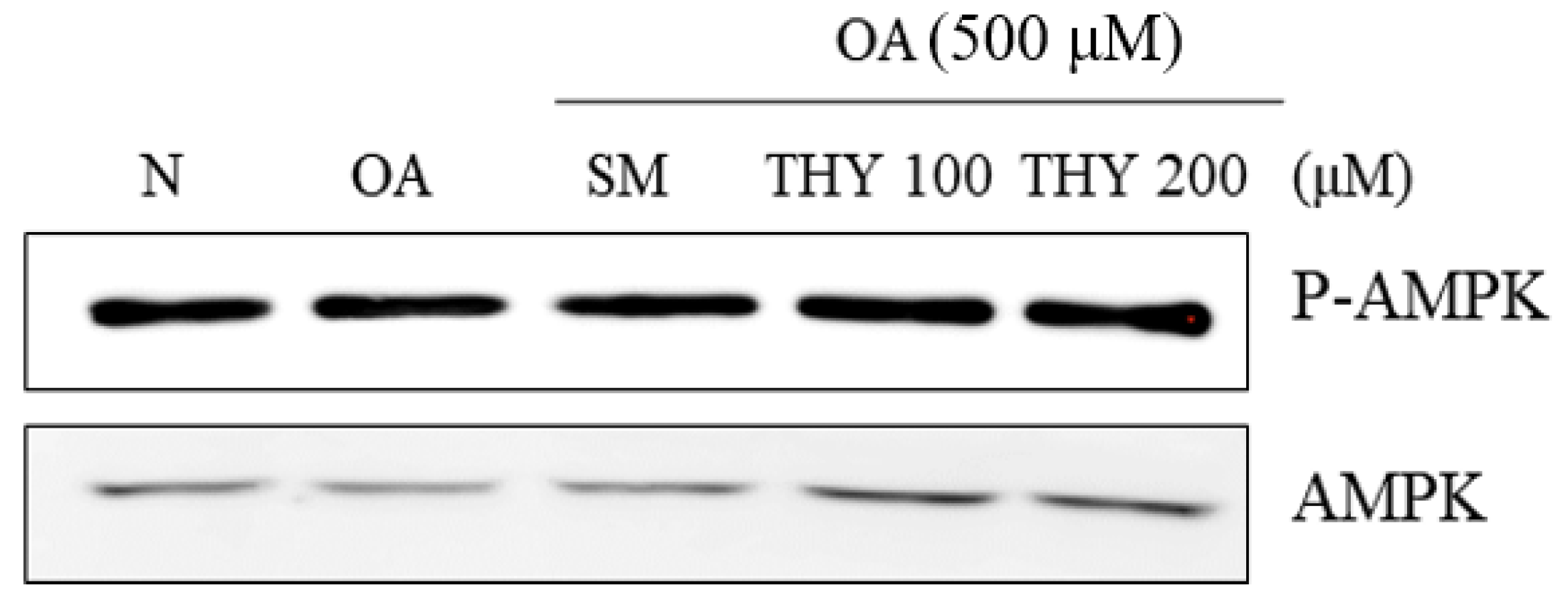 Processes 08 01191 g007 Processes 08 01191 g007