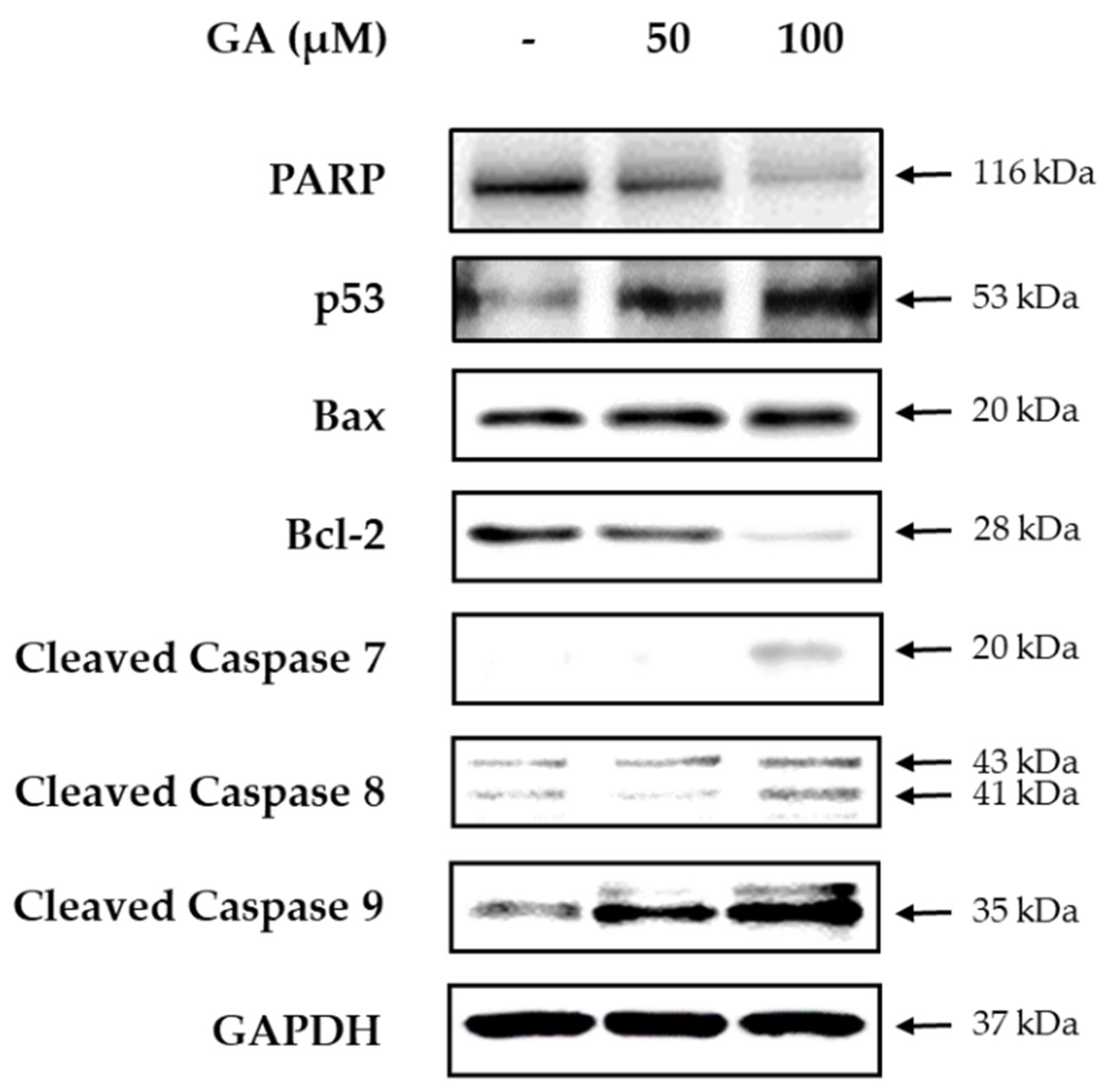 Processes 08 01193 g007