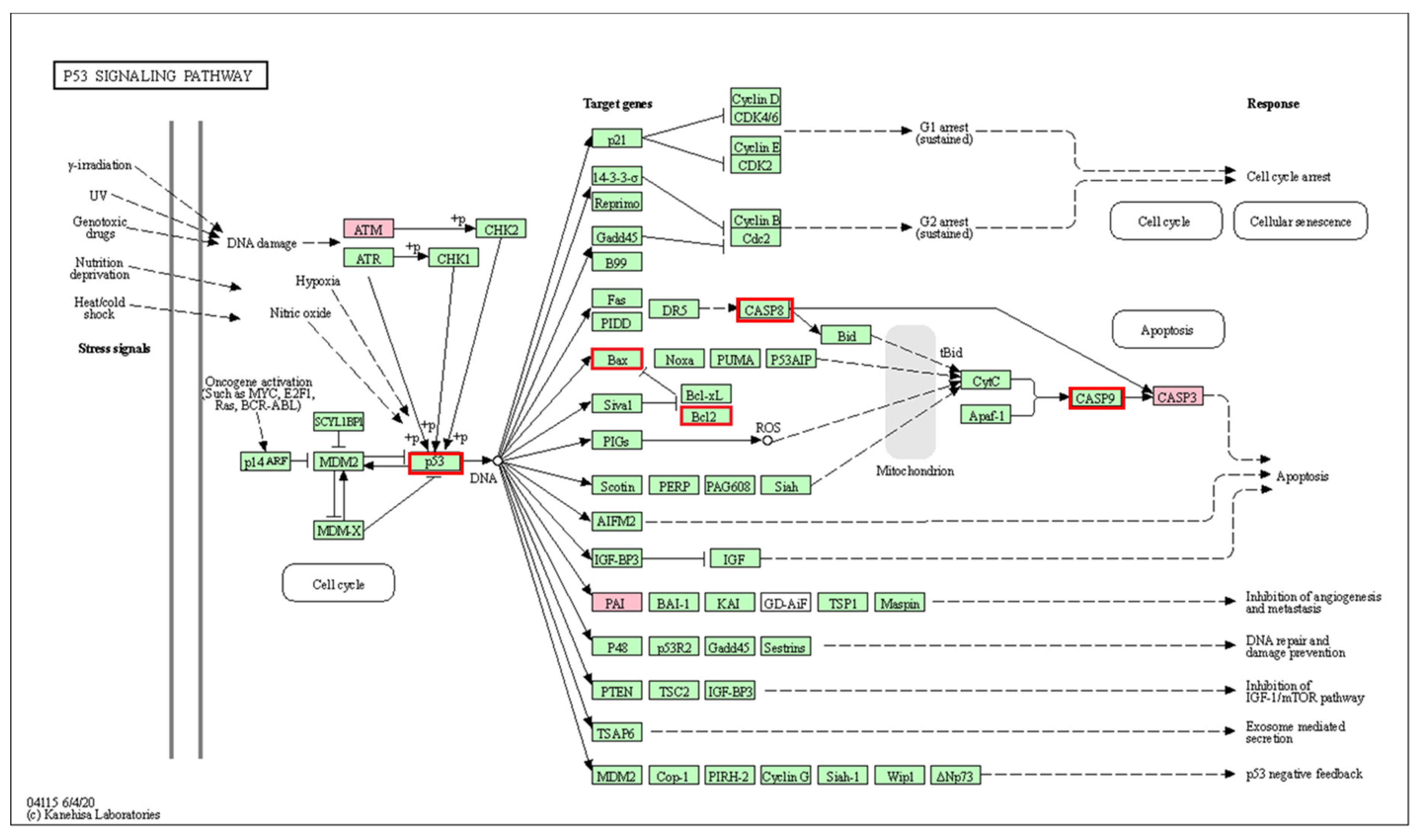 Processes 08 01193 g008
