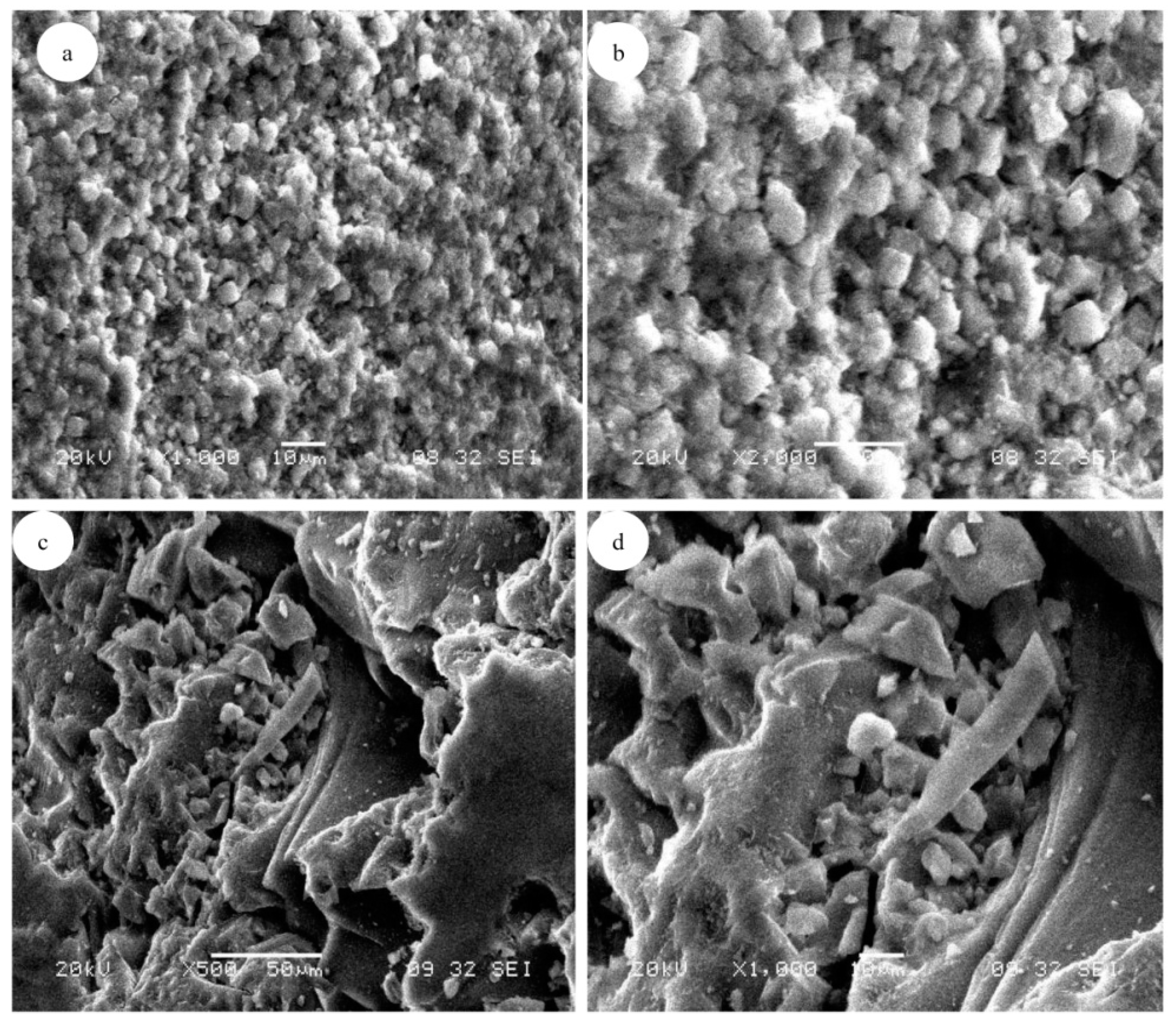 Processes 08 01233 g002 Processes 08 01233 g002