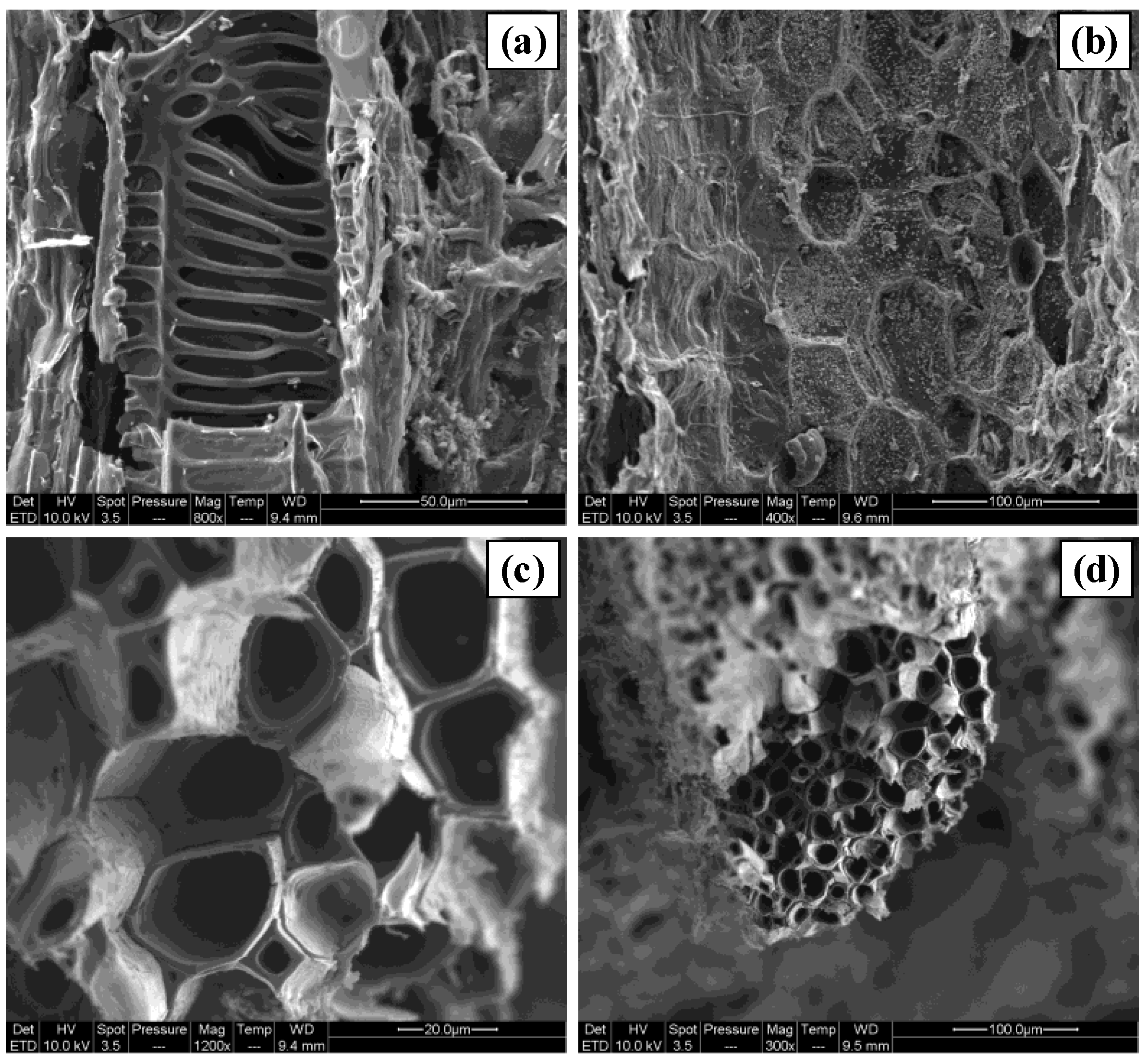 Processes 08 01242 g003