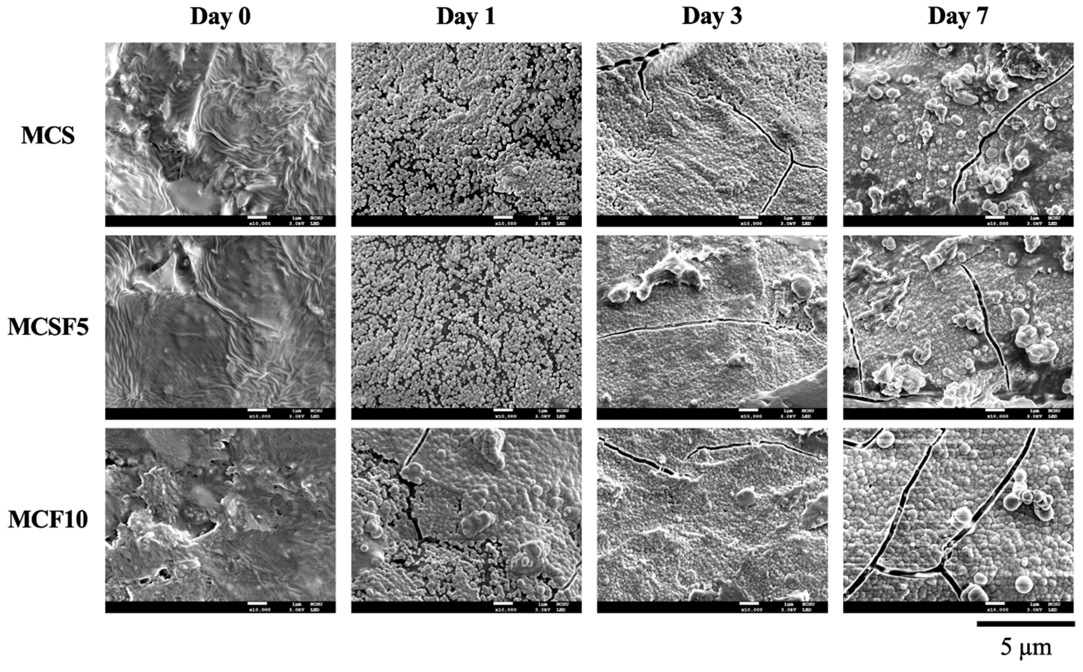 Processes 08 01249 g003 Processes 08 01249 g003