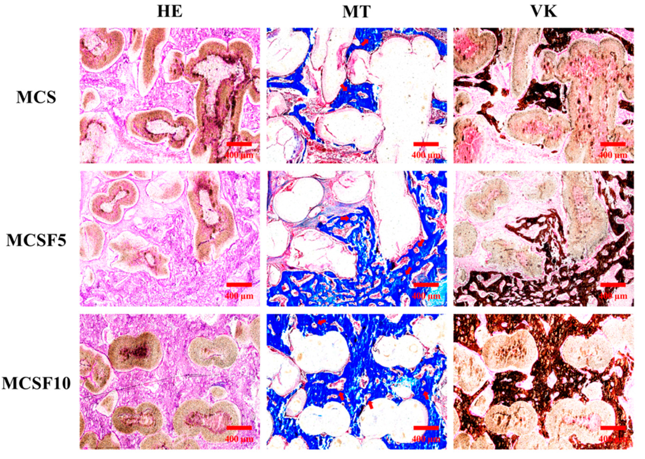 Processes 08 01249 g009 Processes 08 01249 g009