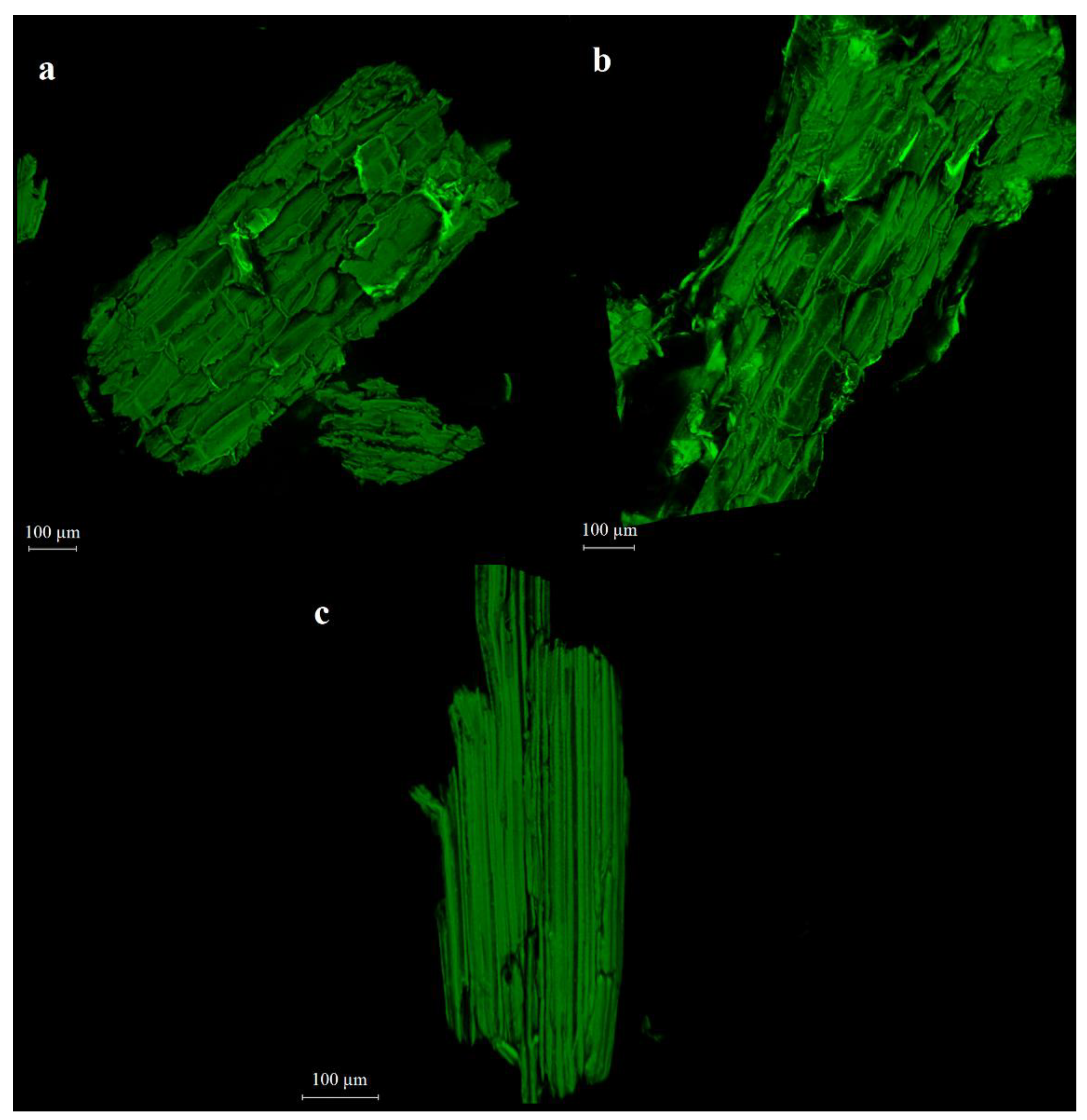 Processes 08 01274 g006