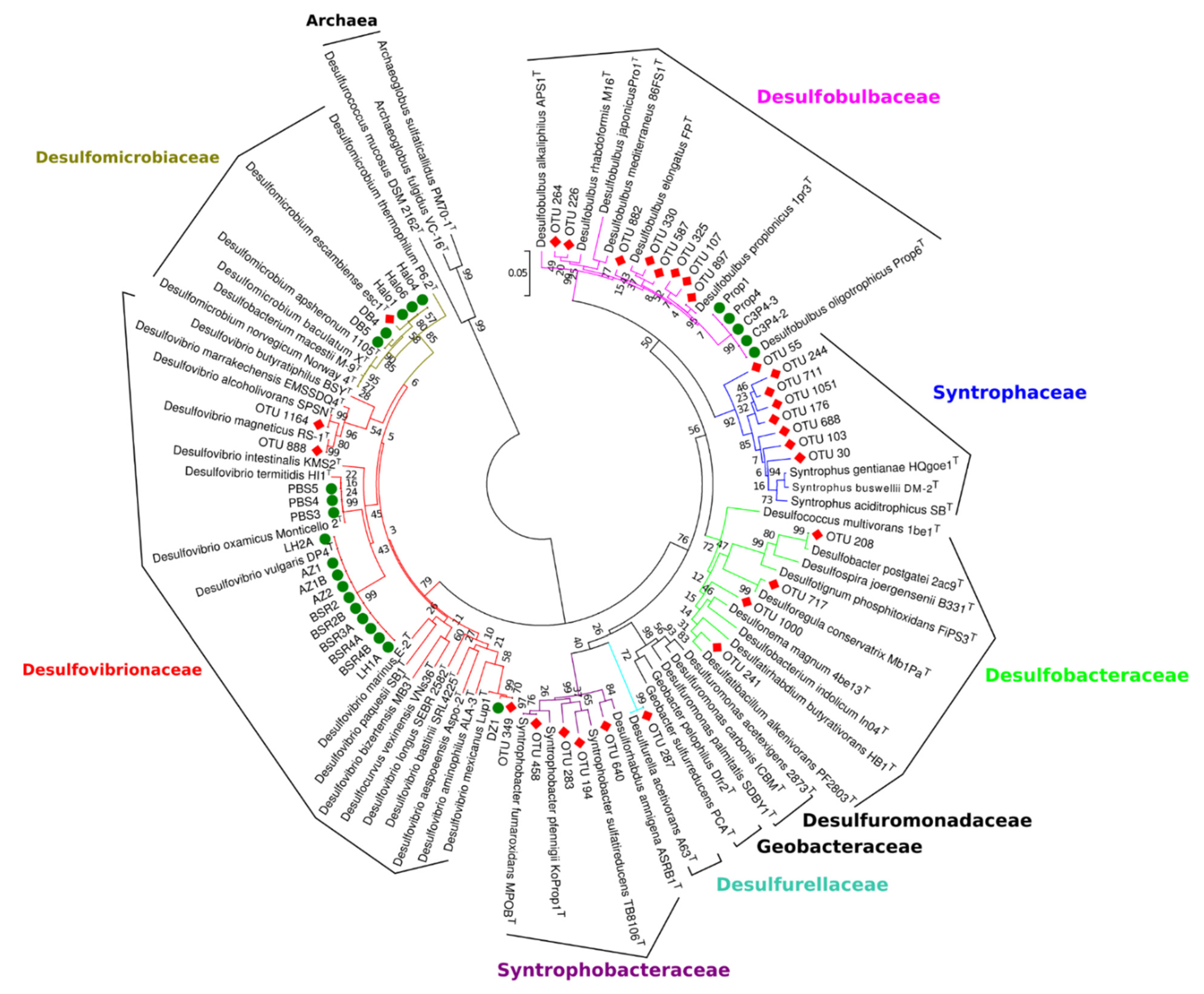 Processes 08 01284 g006