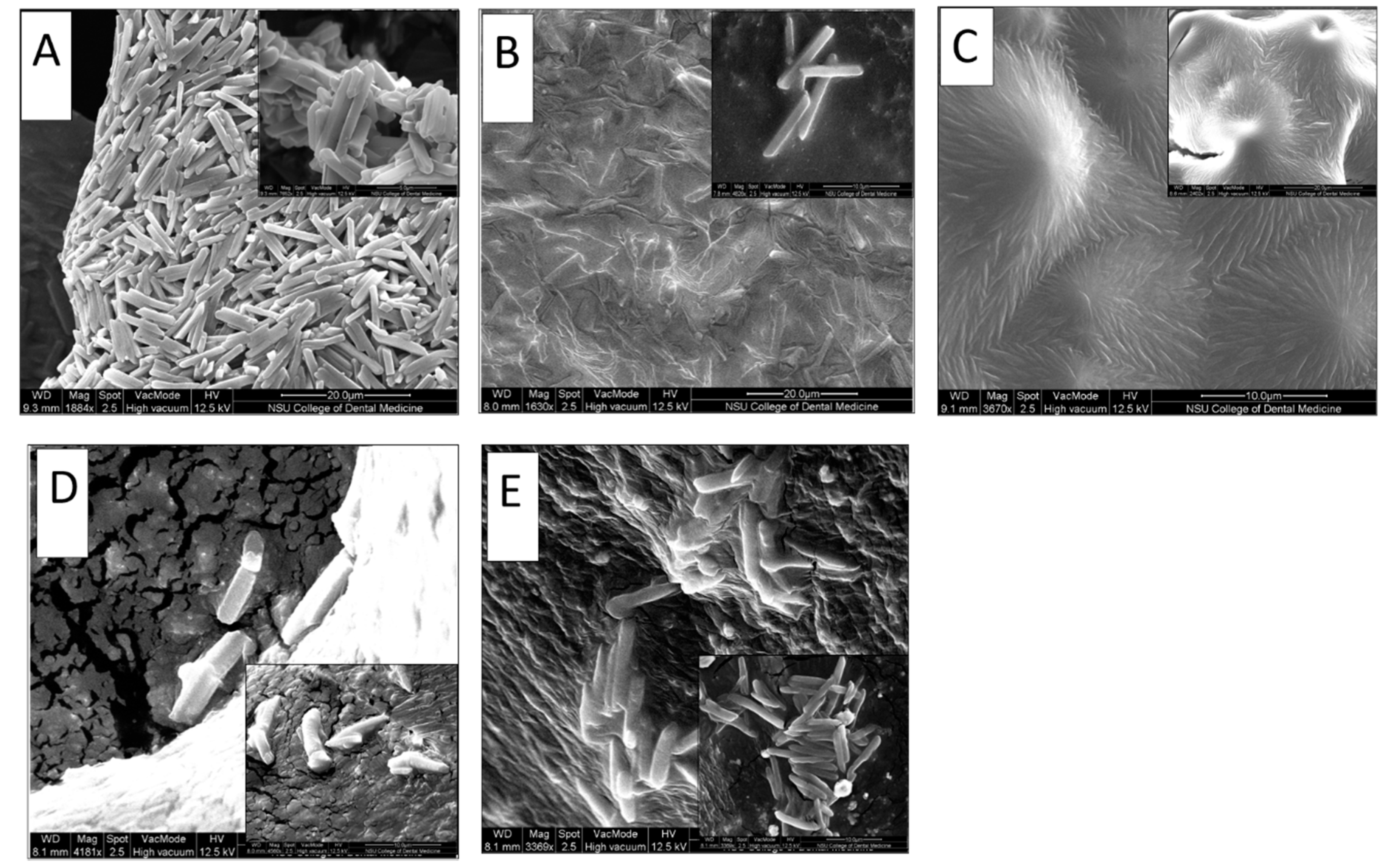 Processes 08 01320 g004