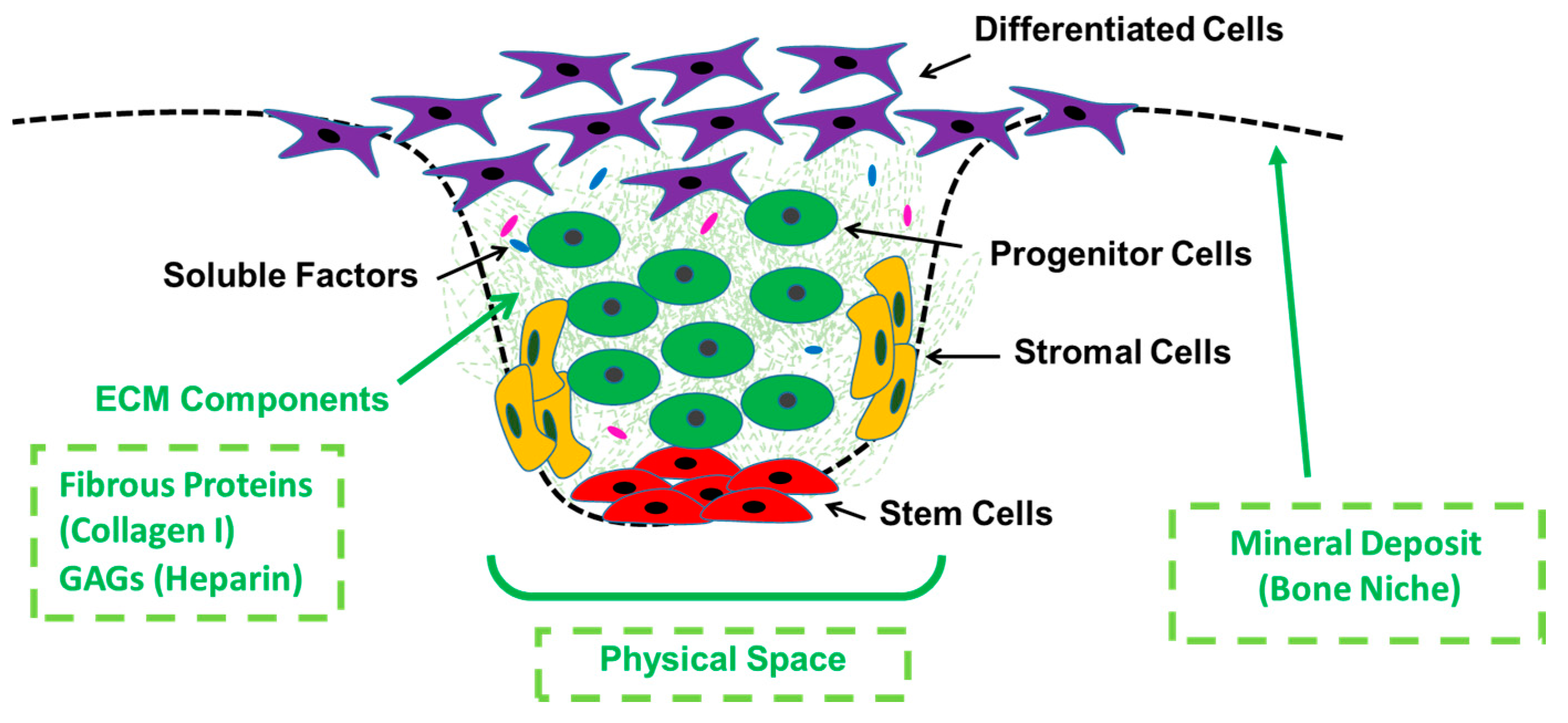 Processes 08 01341 g001