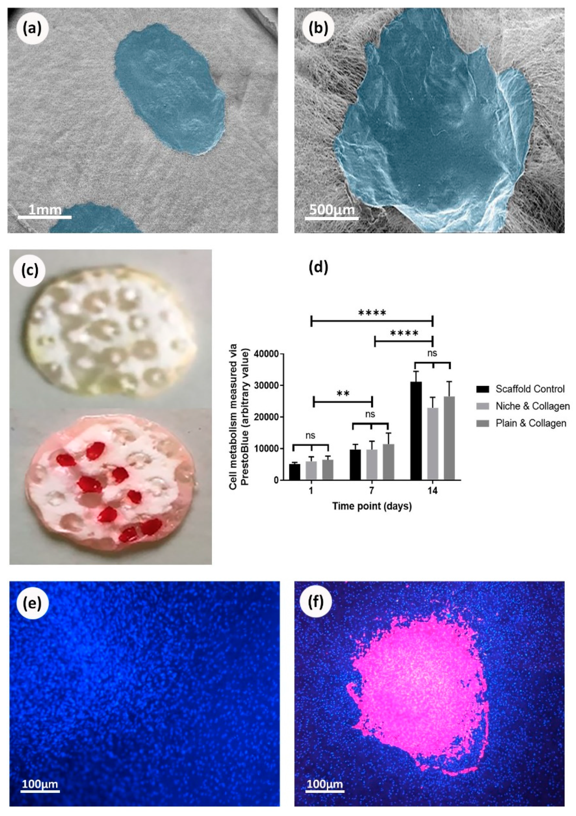 Processes 08 01341 g006