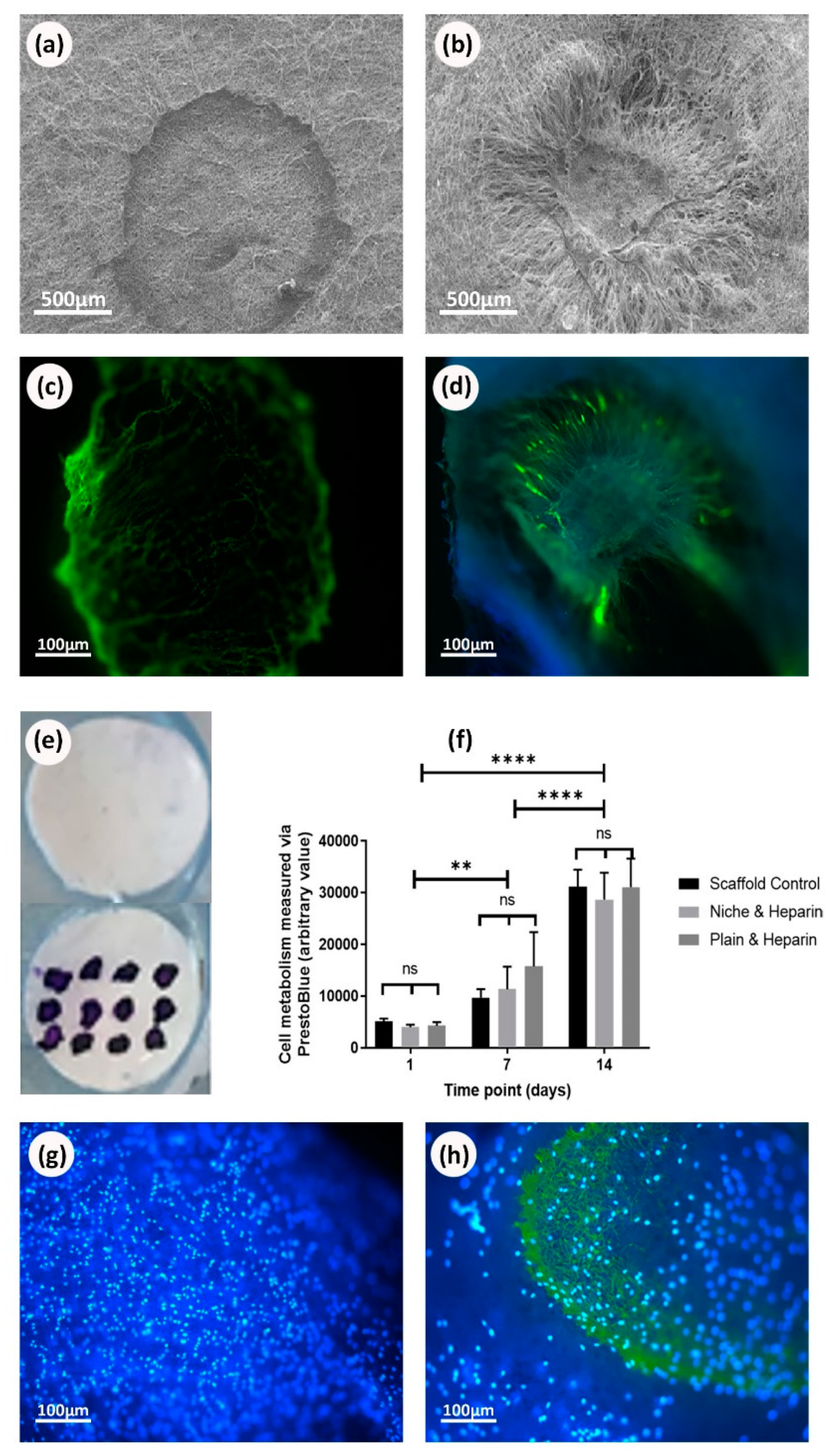 Processes 08 01341 g007