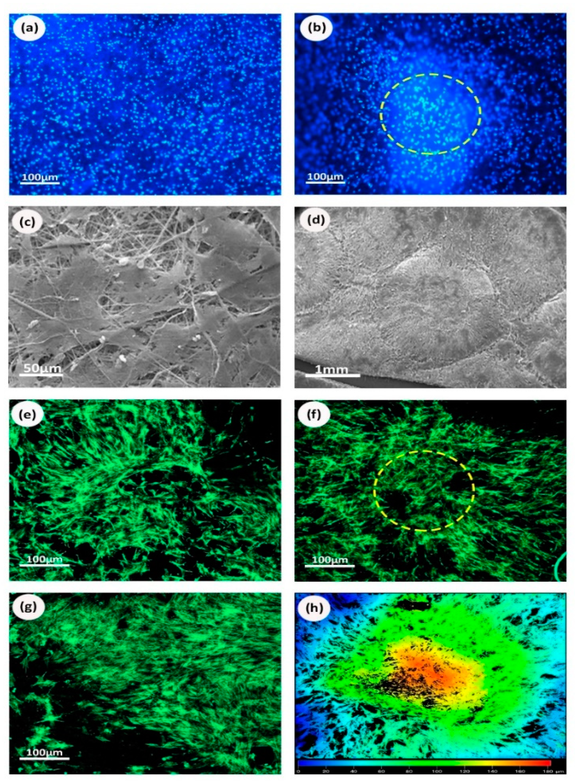 Processes 08 01341 g008