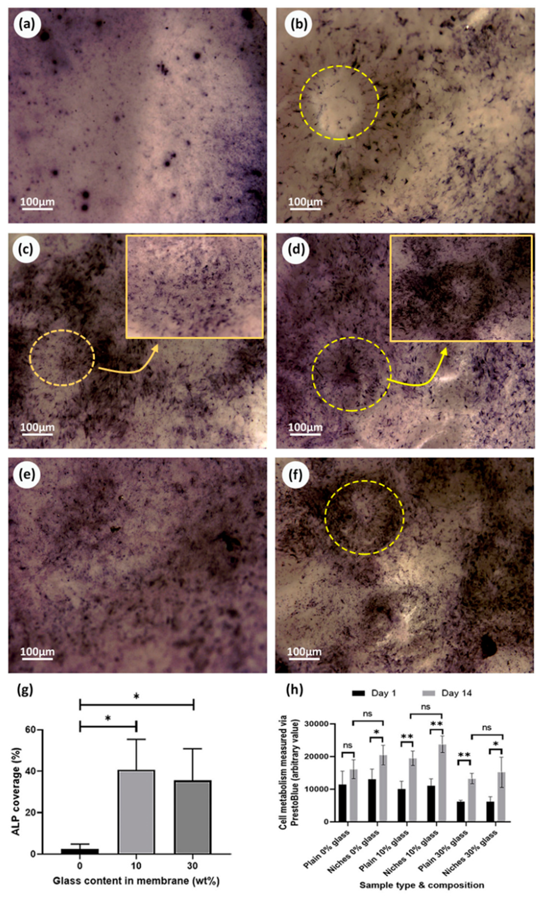 Processes 08 01341 g009