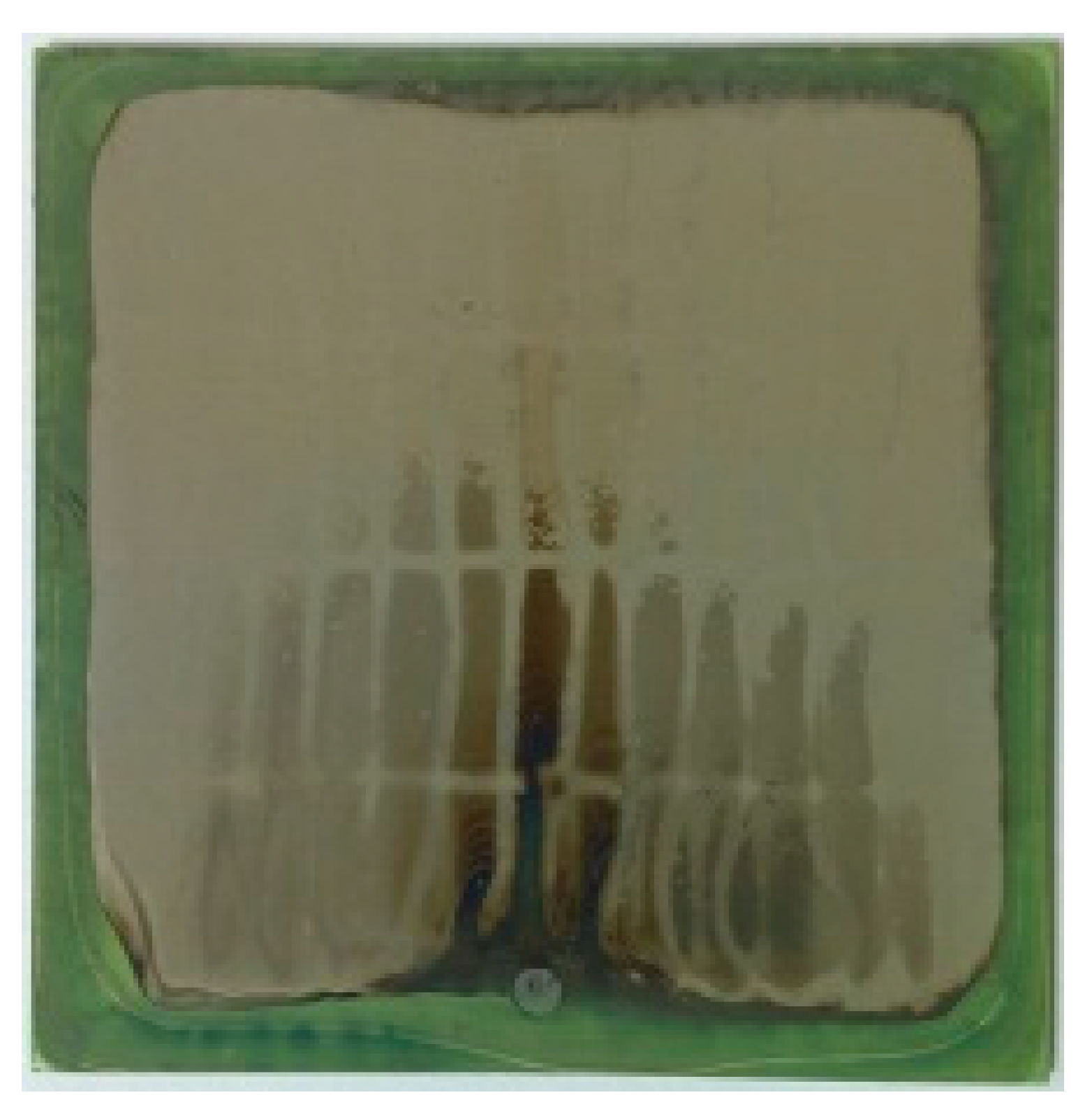 Processes 08 01370 i005