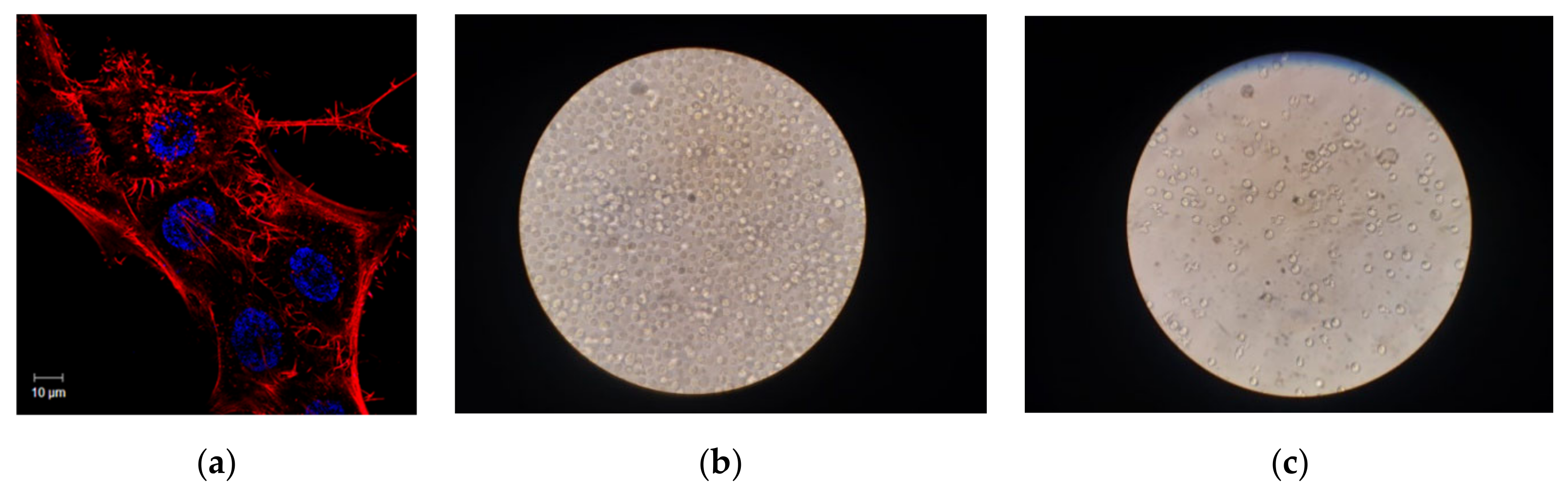 Processes 08 01377 g008 Processes 08 01377 g008